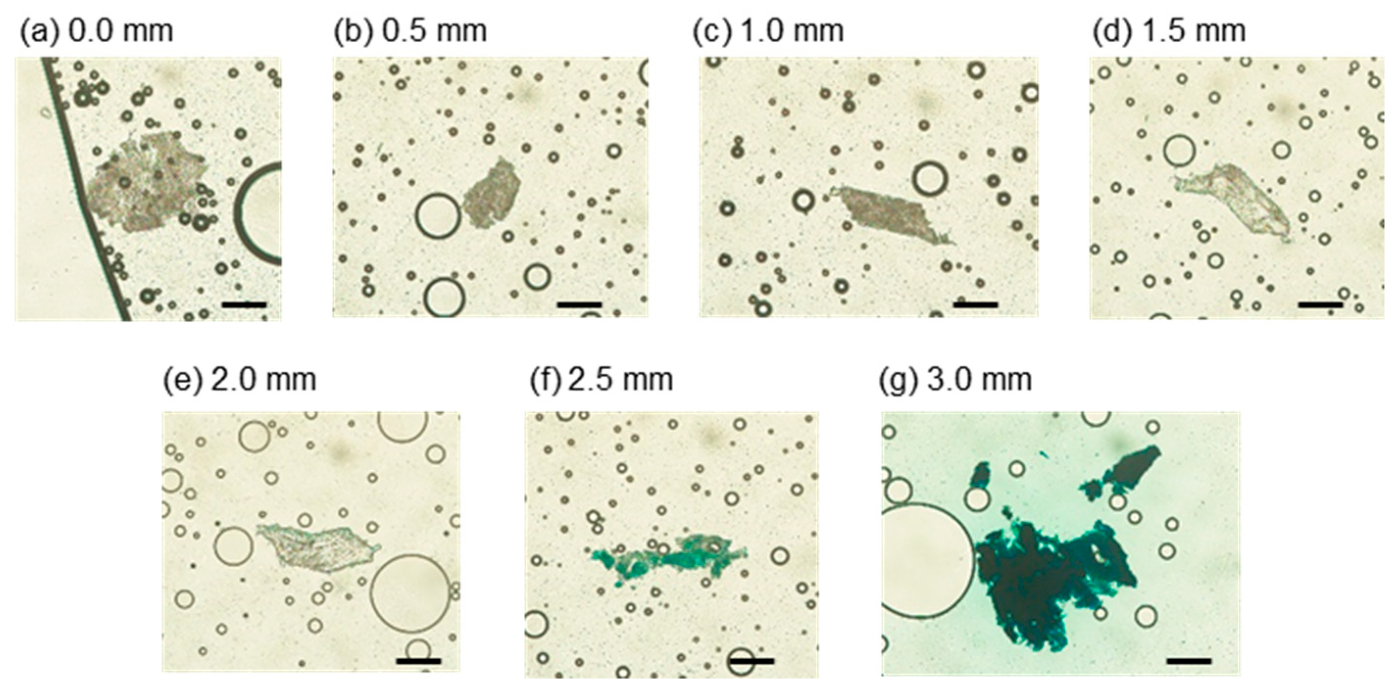 Micromachines 12 01482 g011