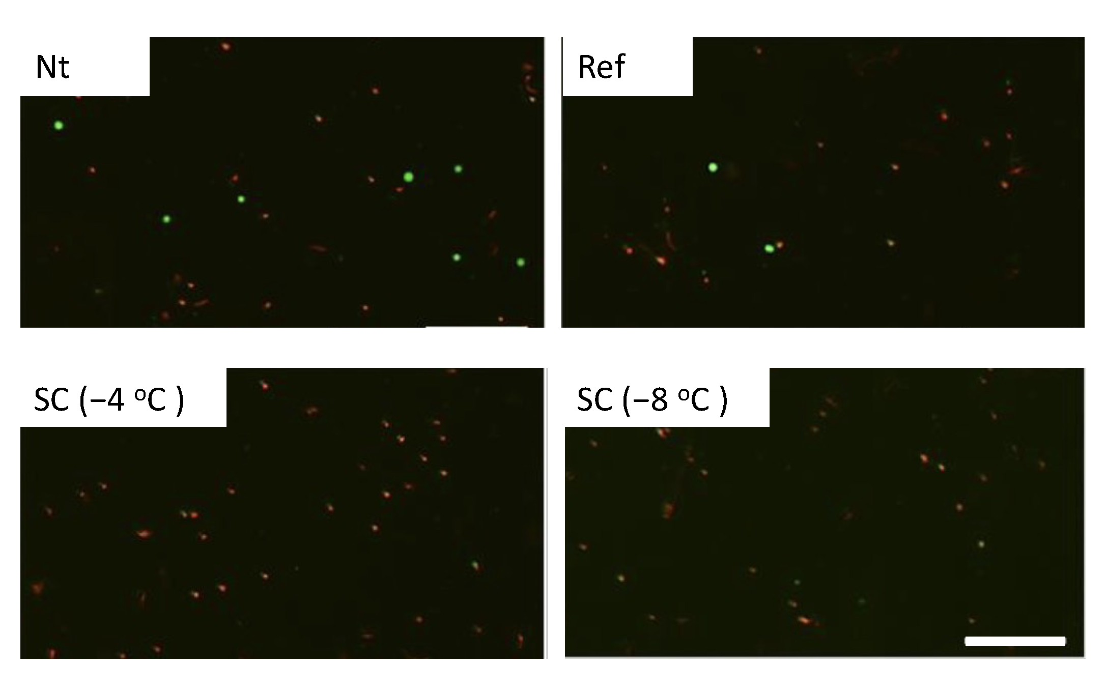 Micromachines 12 01486 g007