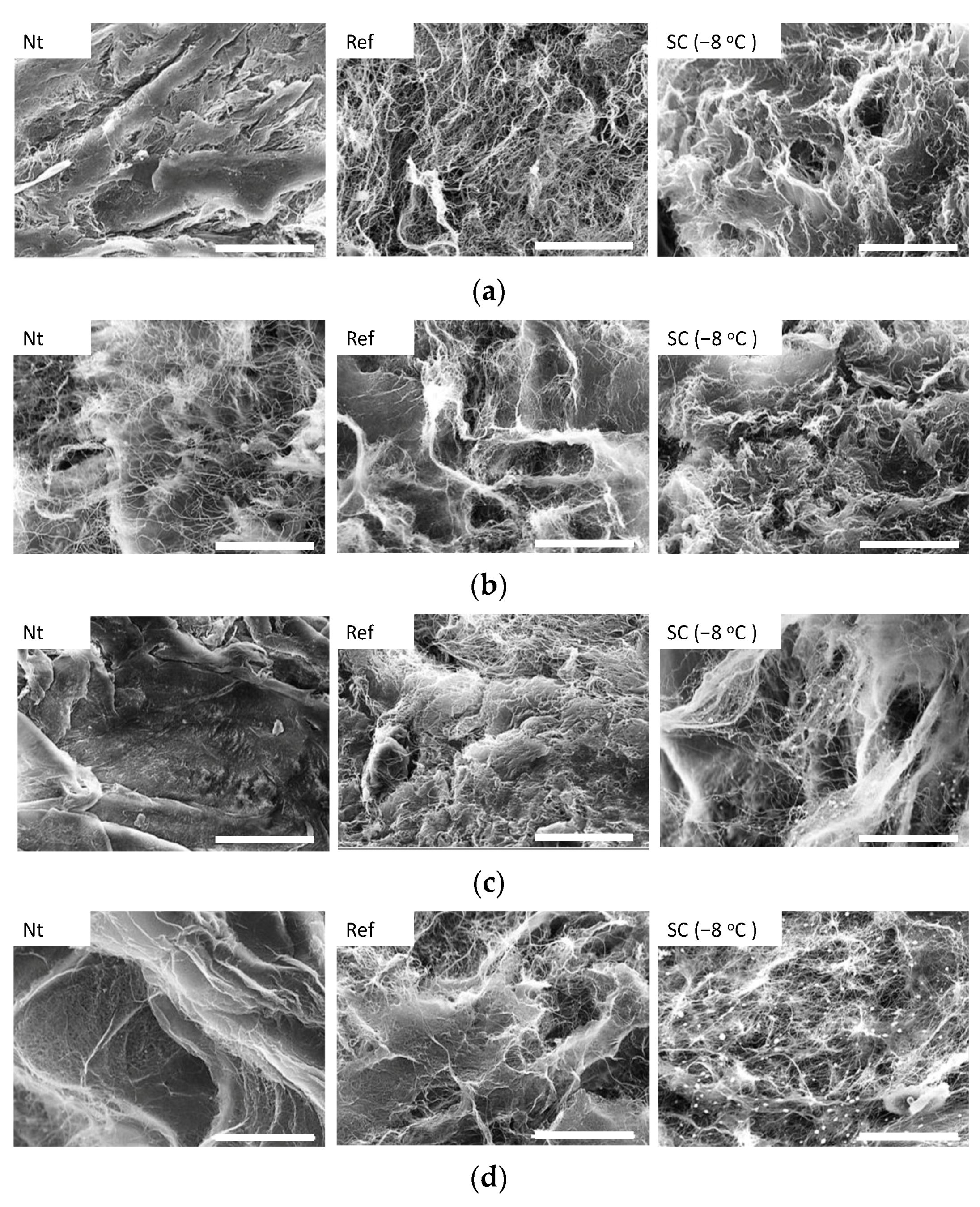 Micromachines 12 01486 g010