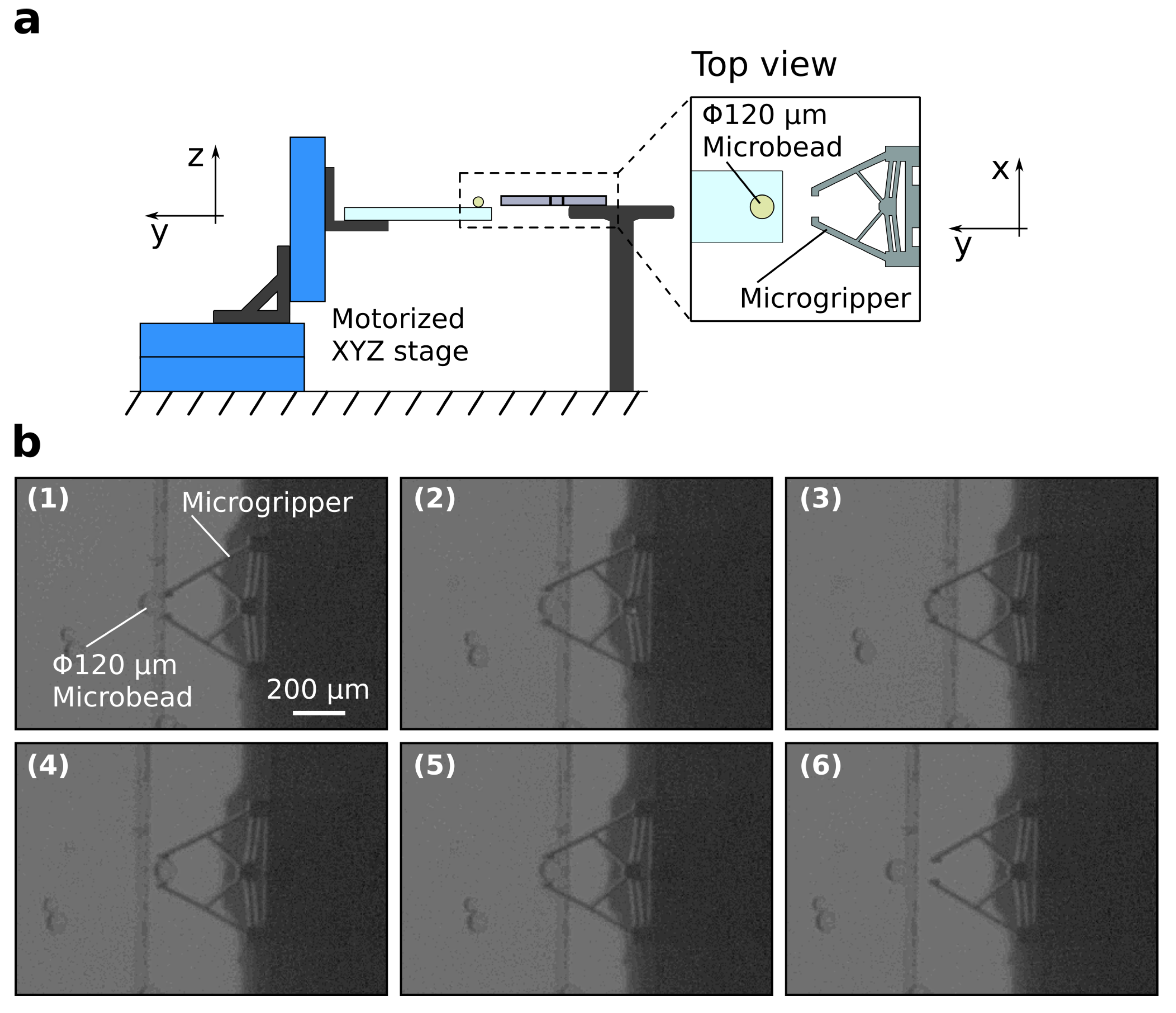 Micromachines 12 01487 g006