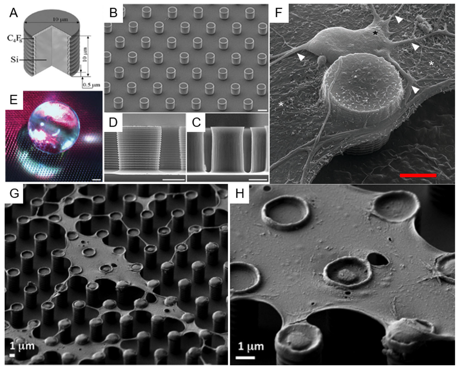 Micromachines 12 01501 g006