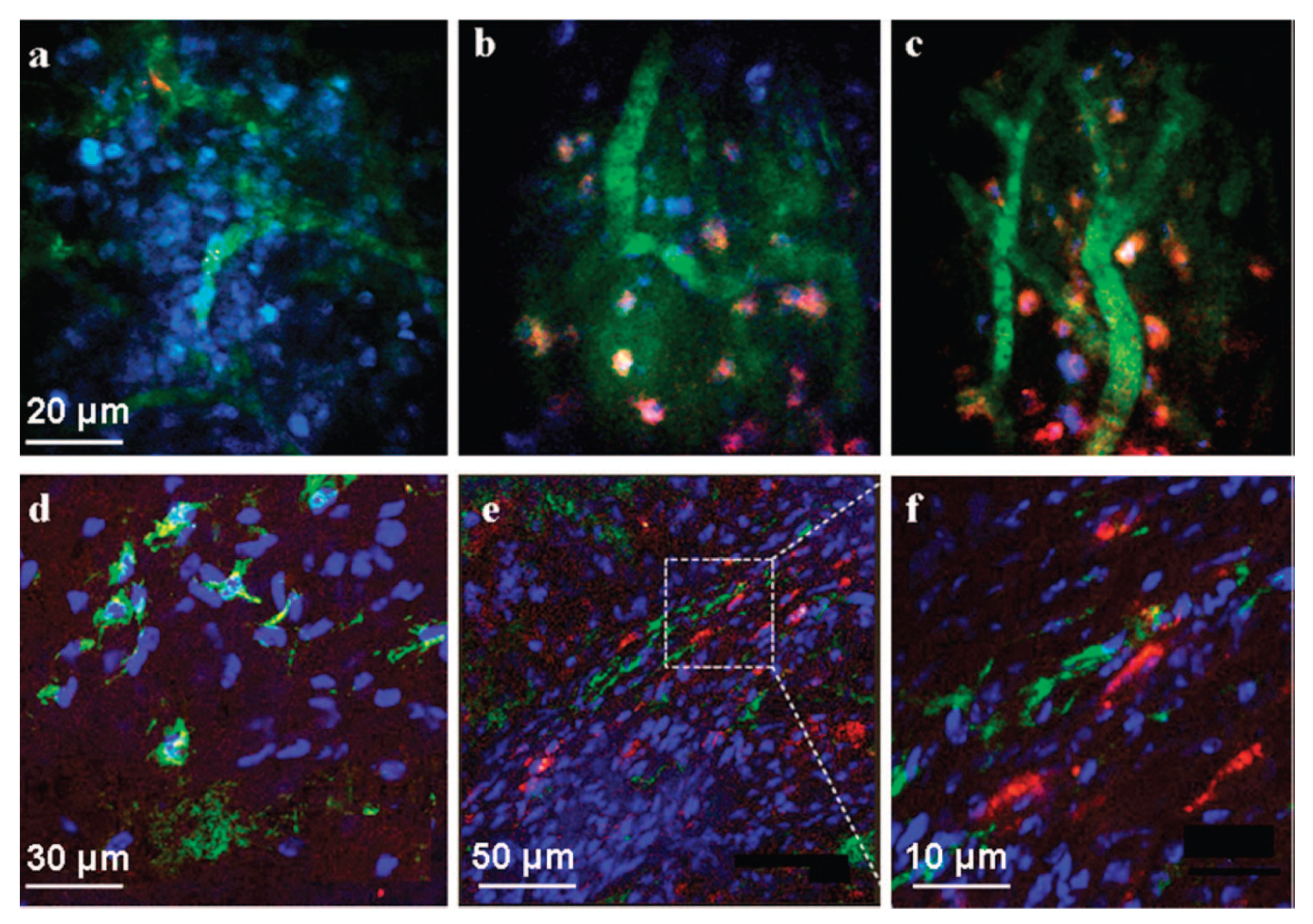 Micromachines 12 01502 g003