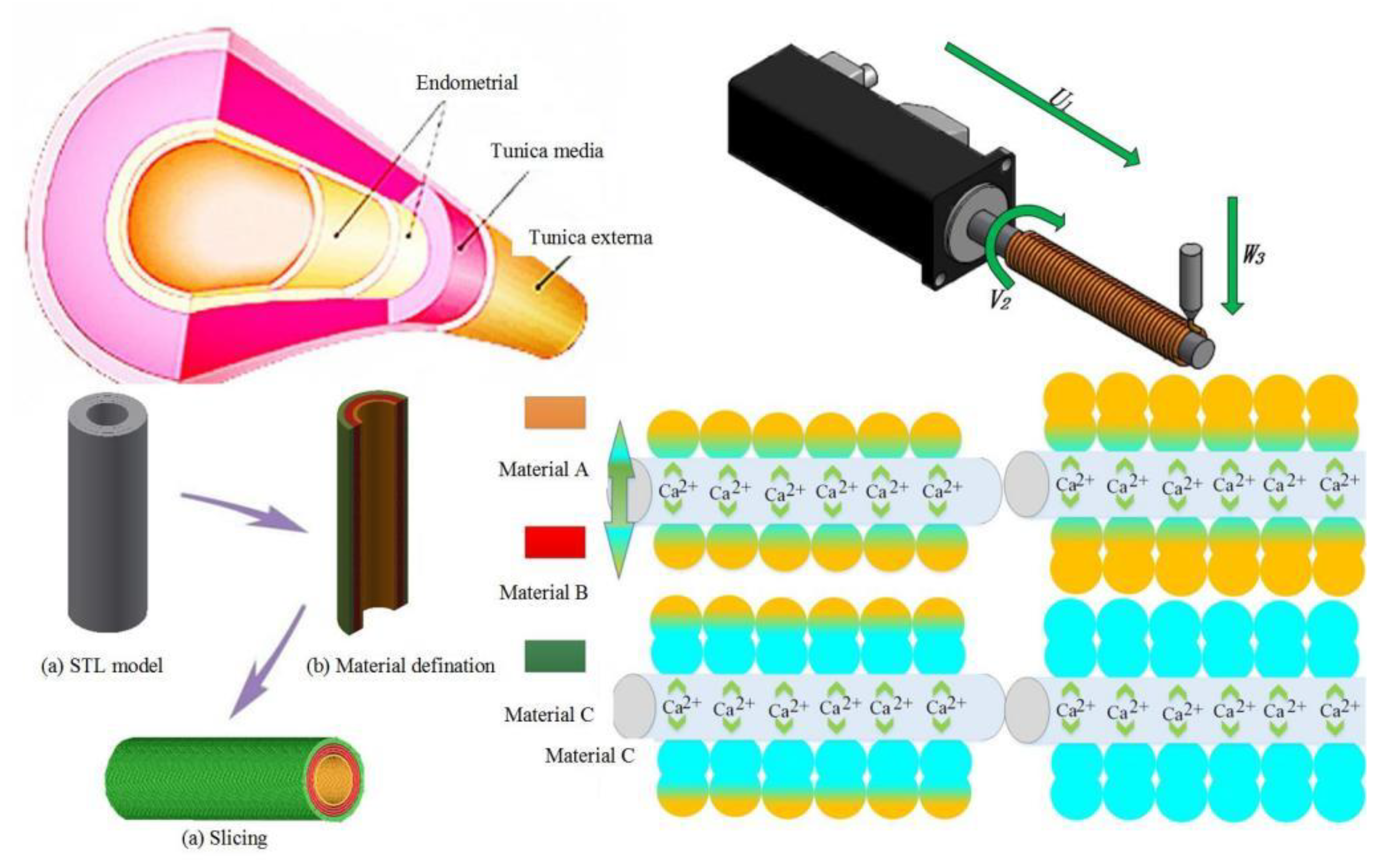 Micromachines 12 01517 g001