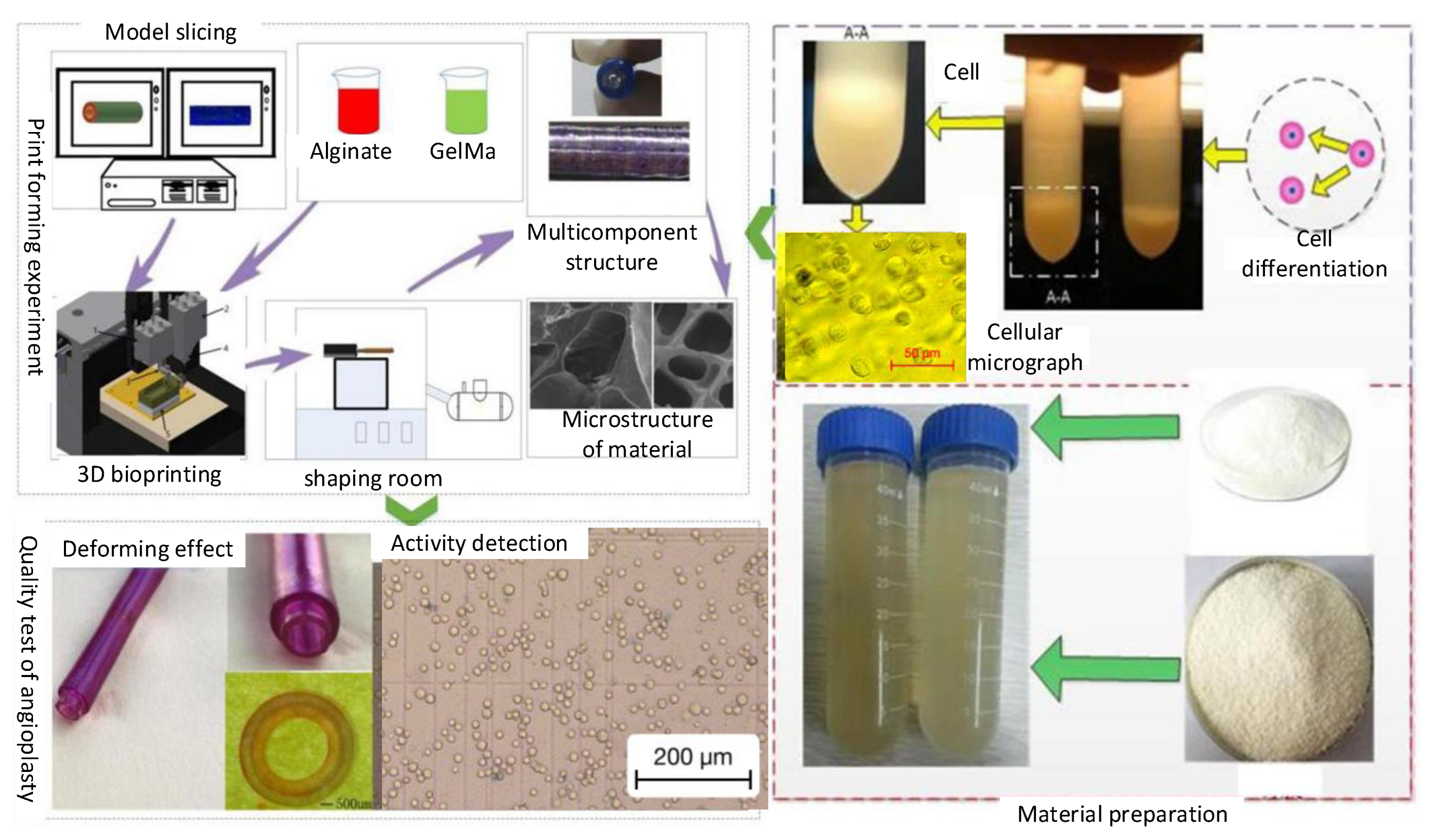 Micromachines 12 01517 g003