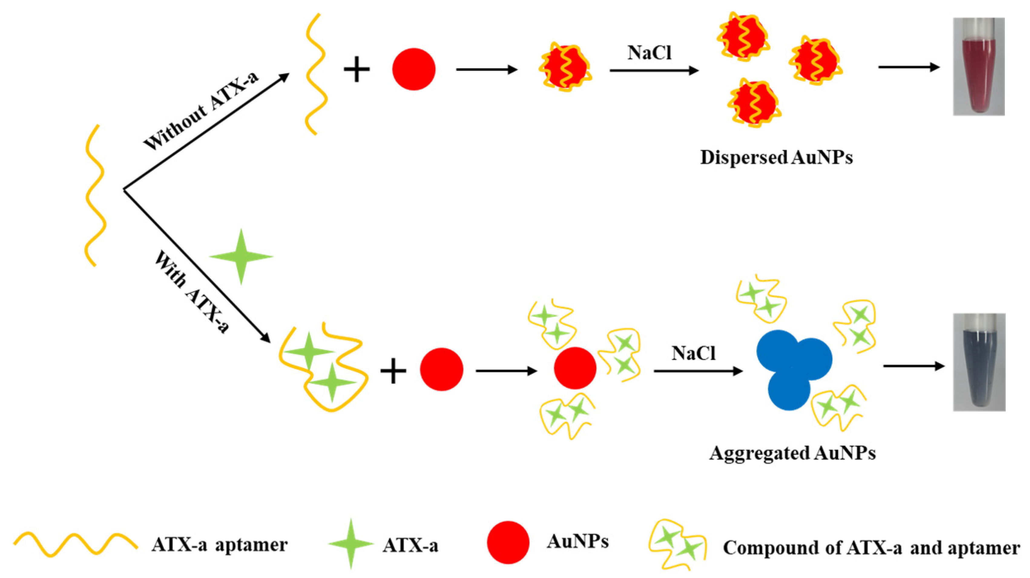 Micromachines 12 01526 g001 550