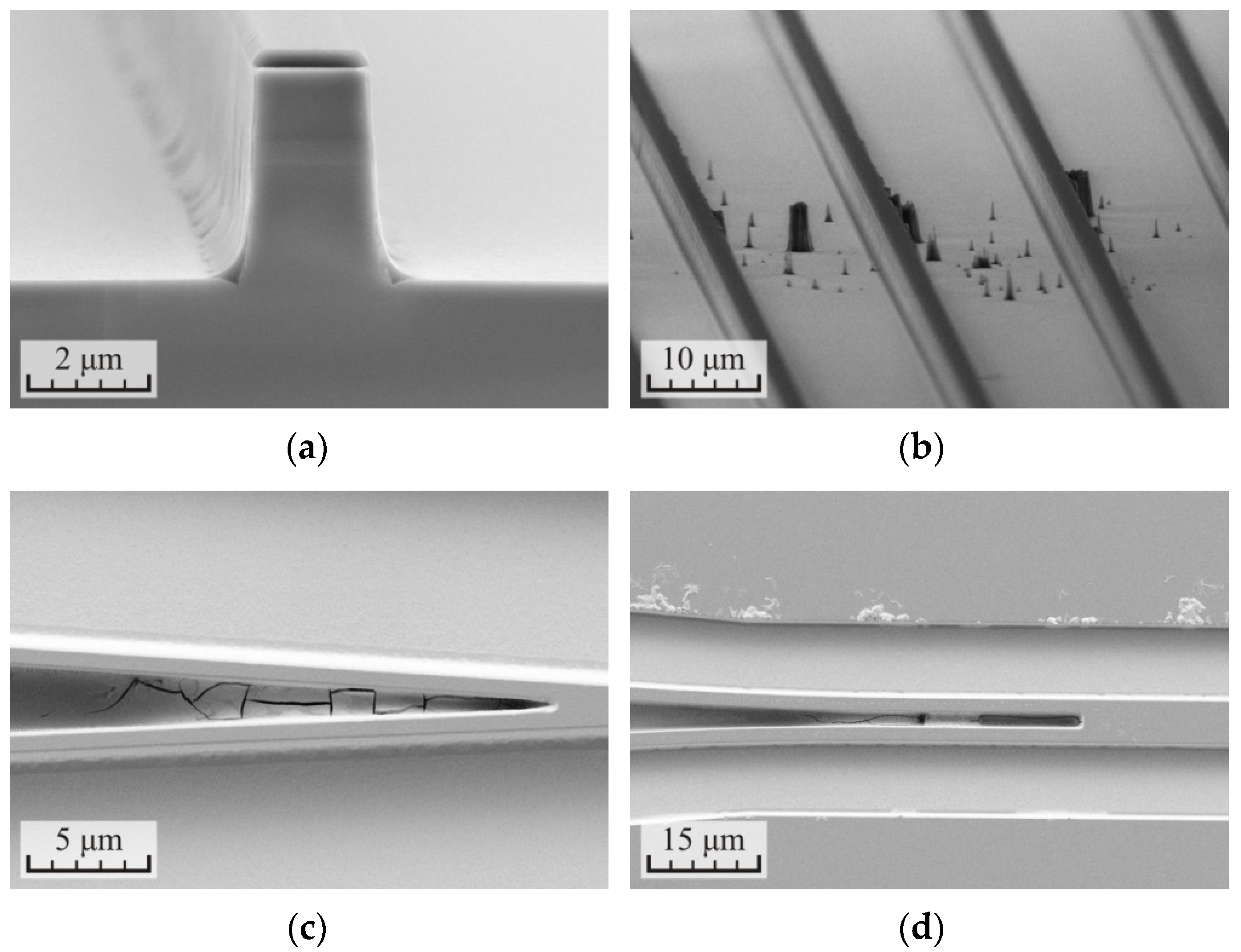 Micromachines 12 01535 g004 550