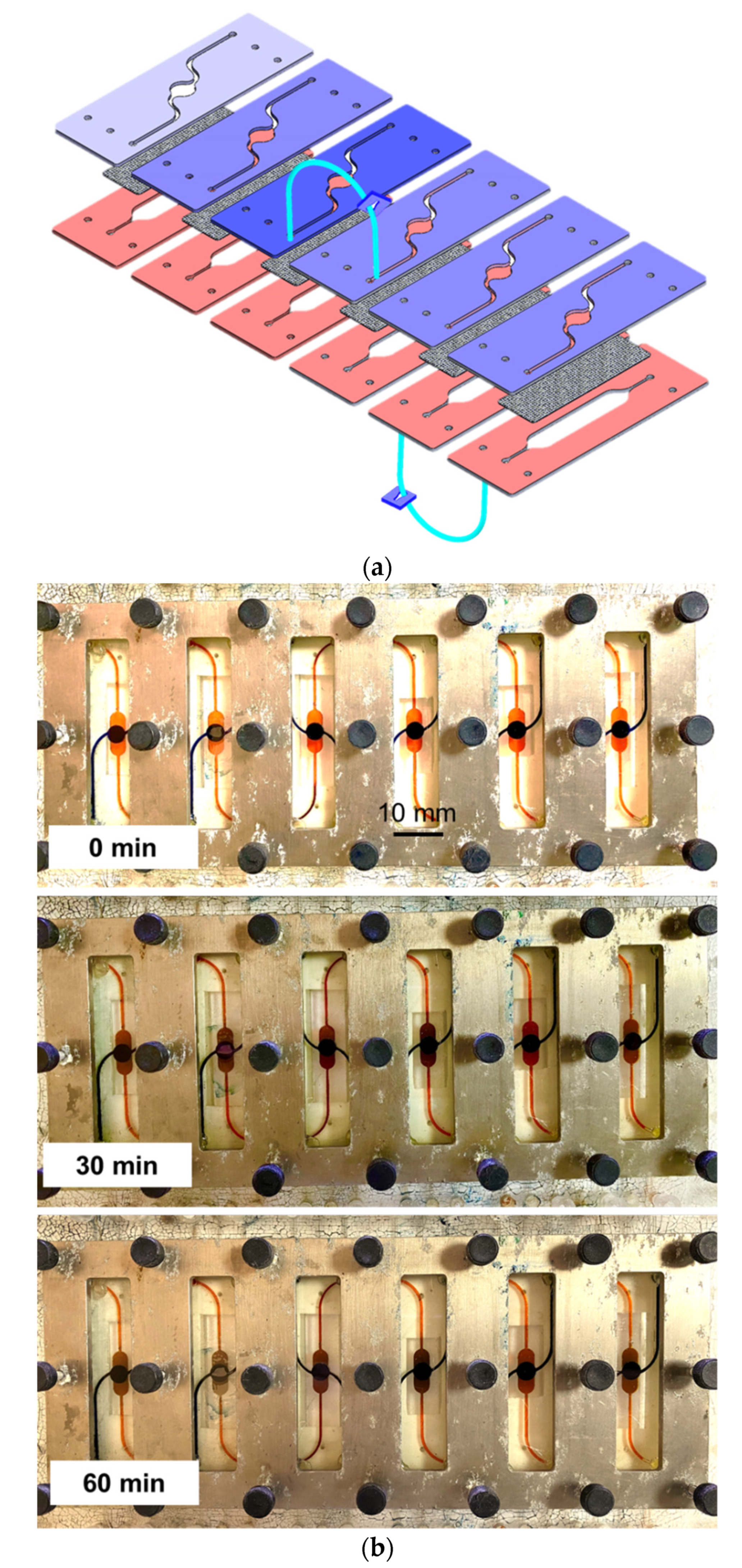 Micromachines 12 01542 g003