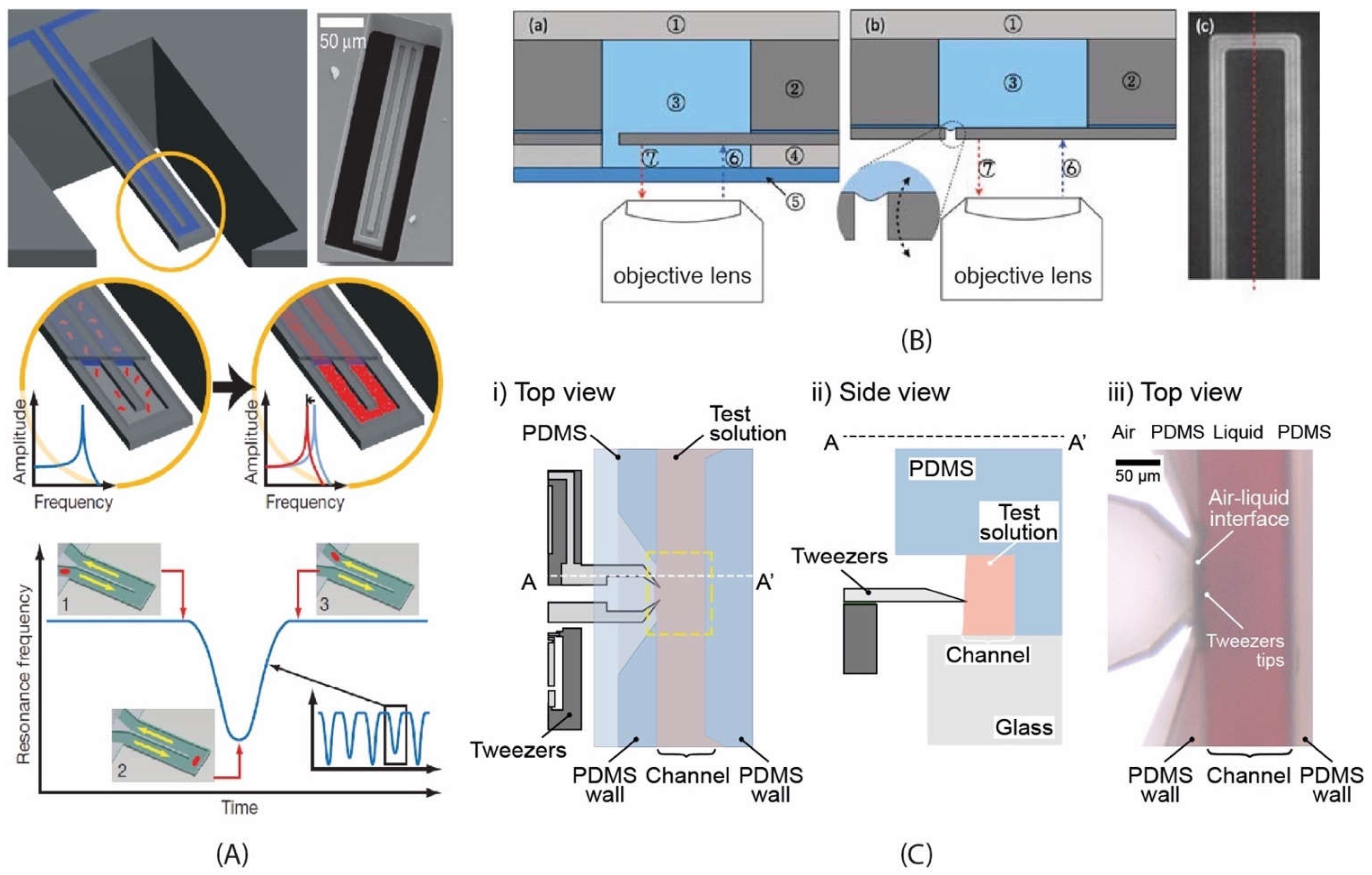Micromachines 12 01546 g002