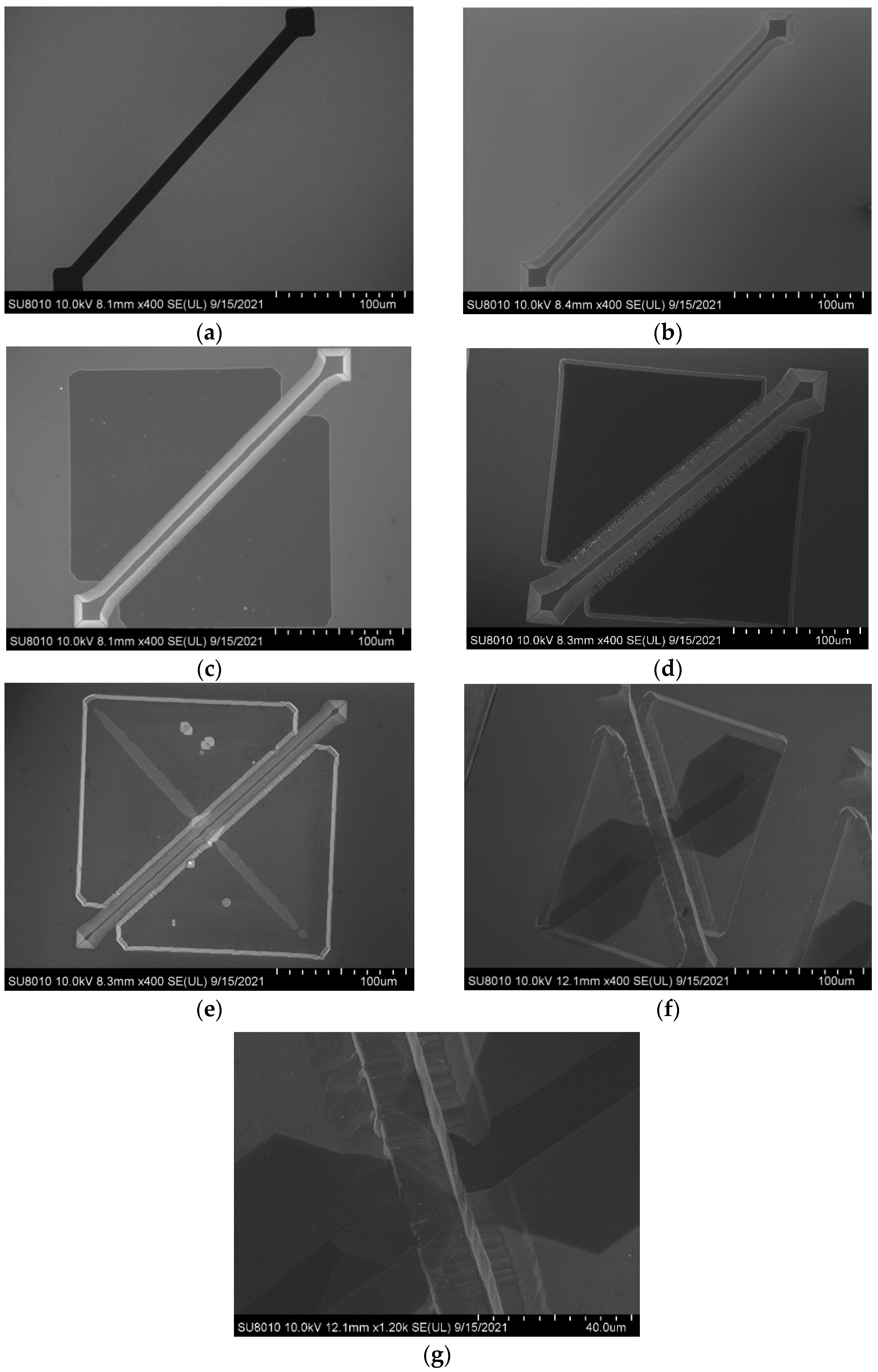 Micromachines 12 01557 g006