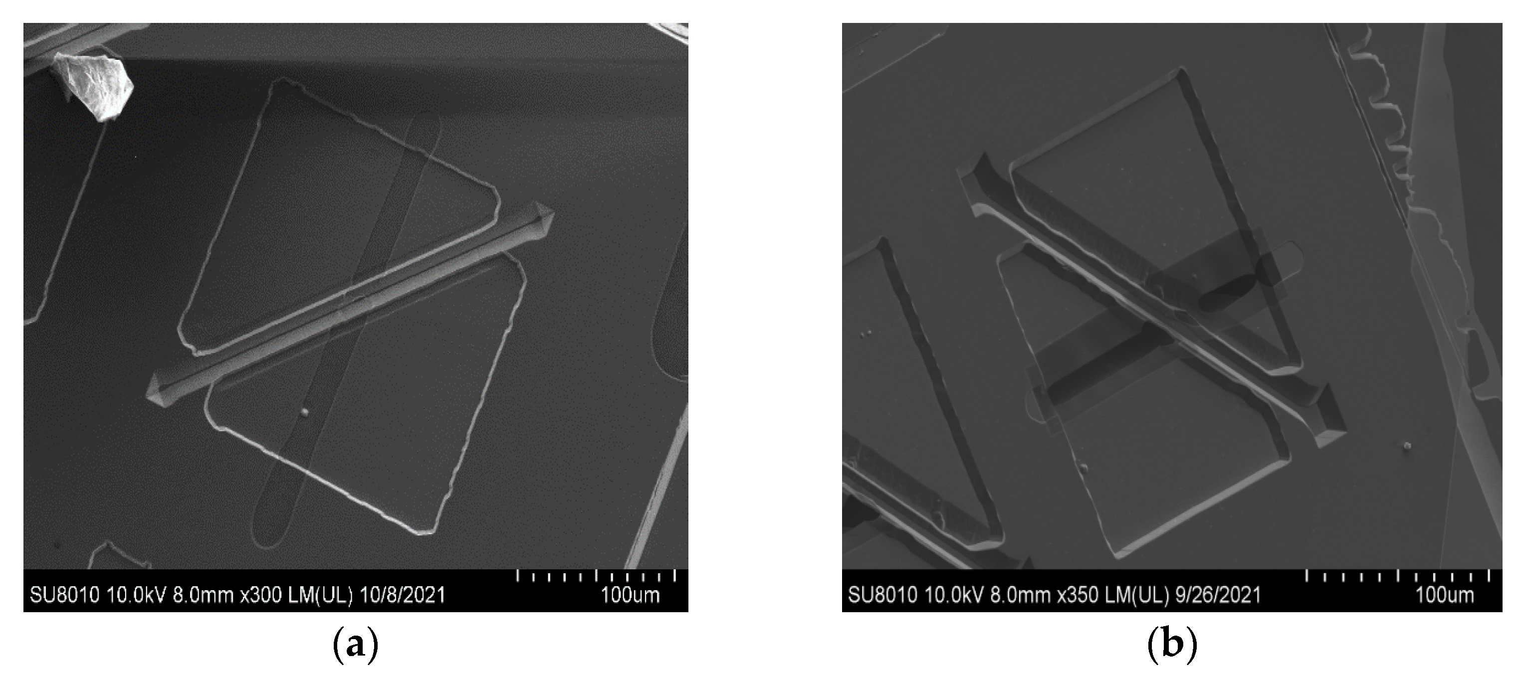 Micromachines 12 01557 g007