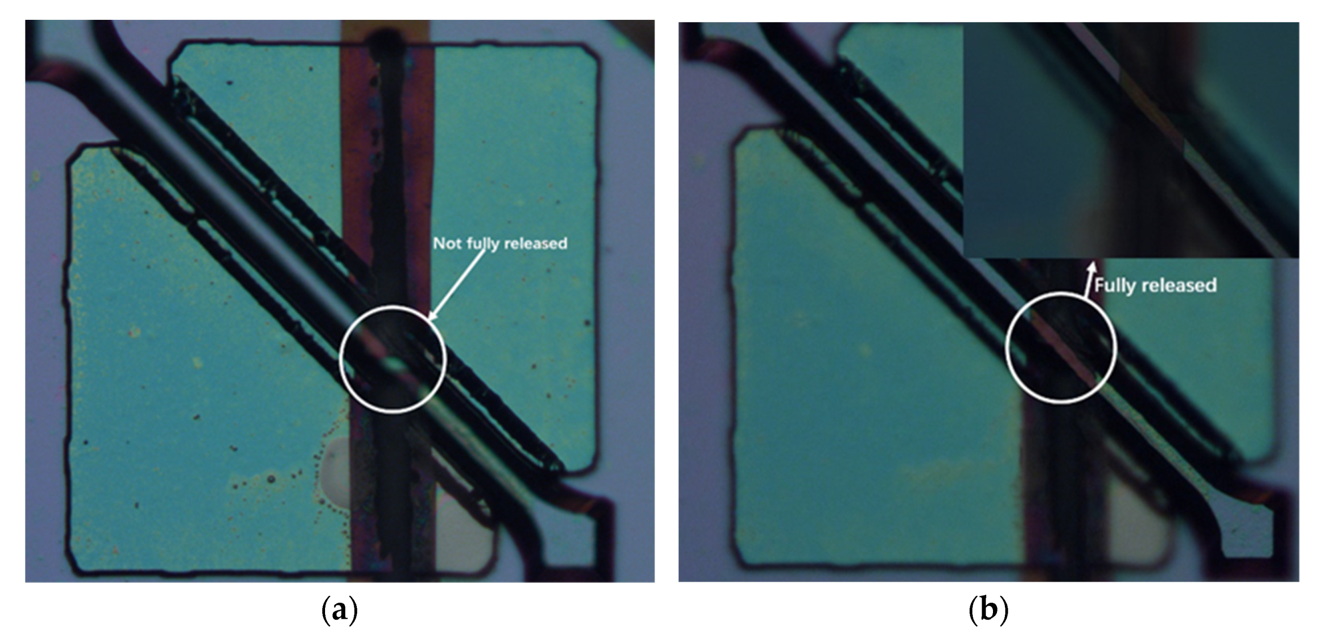 Micromachines 12 01557 g008
