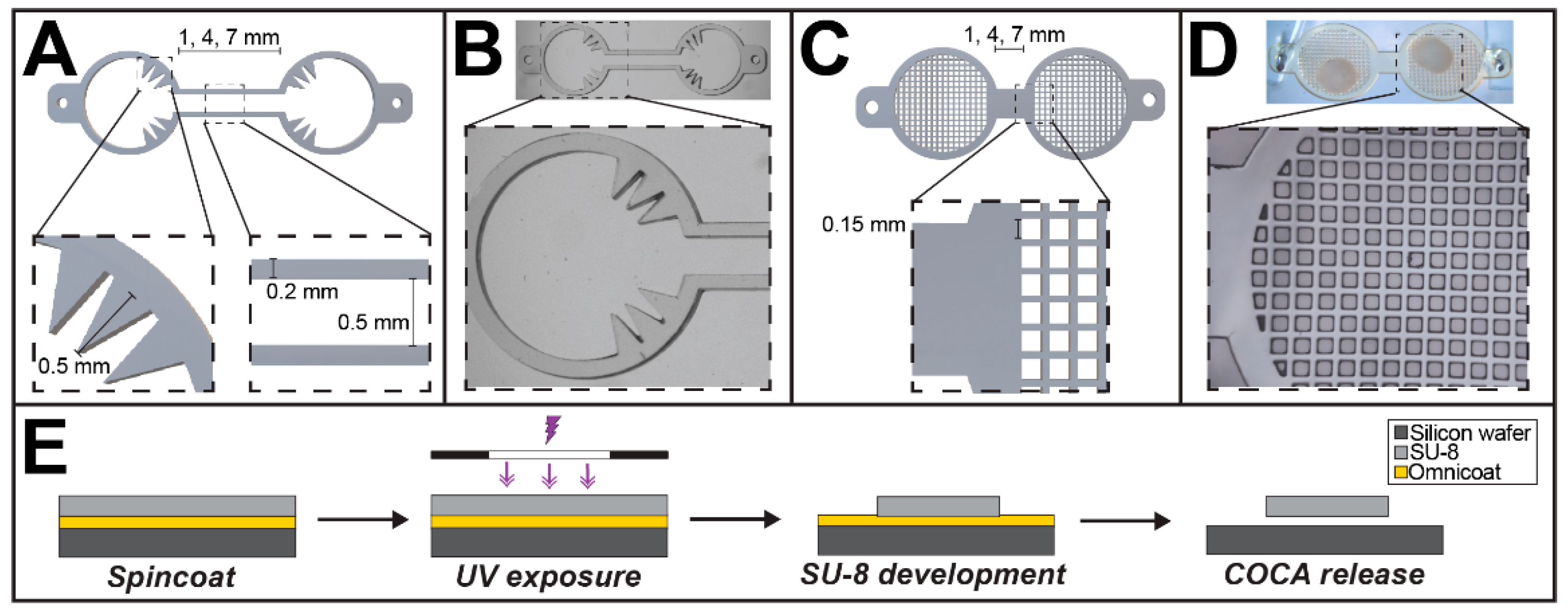 Micromachines 12 01574 g001
