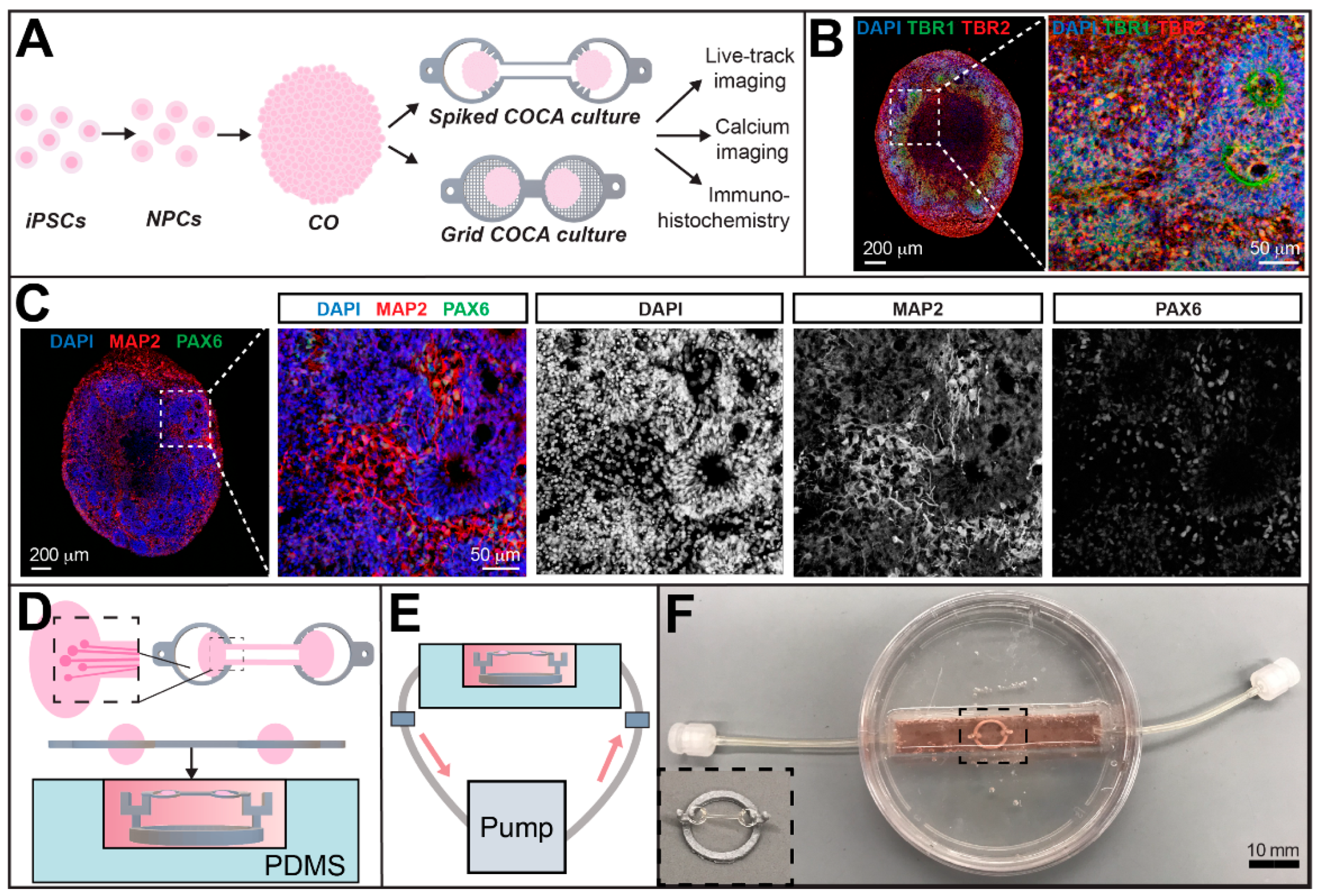 Micromachines 12 01574 g002