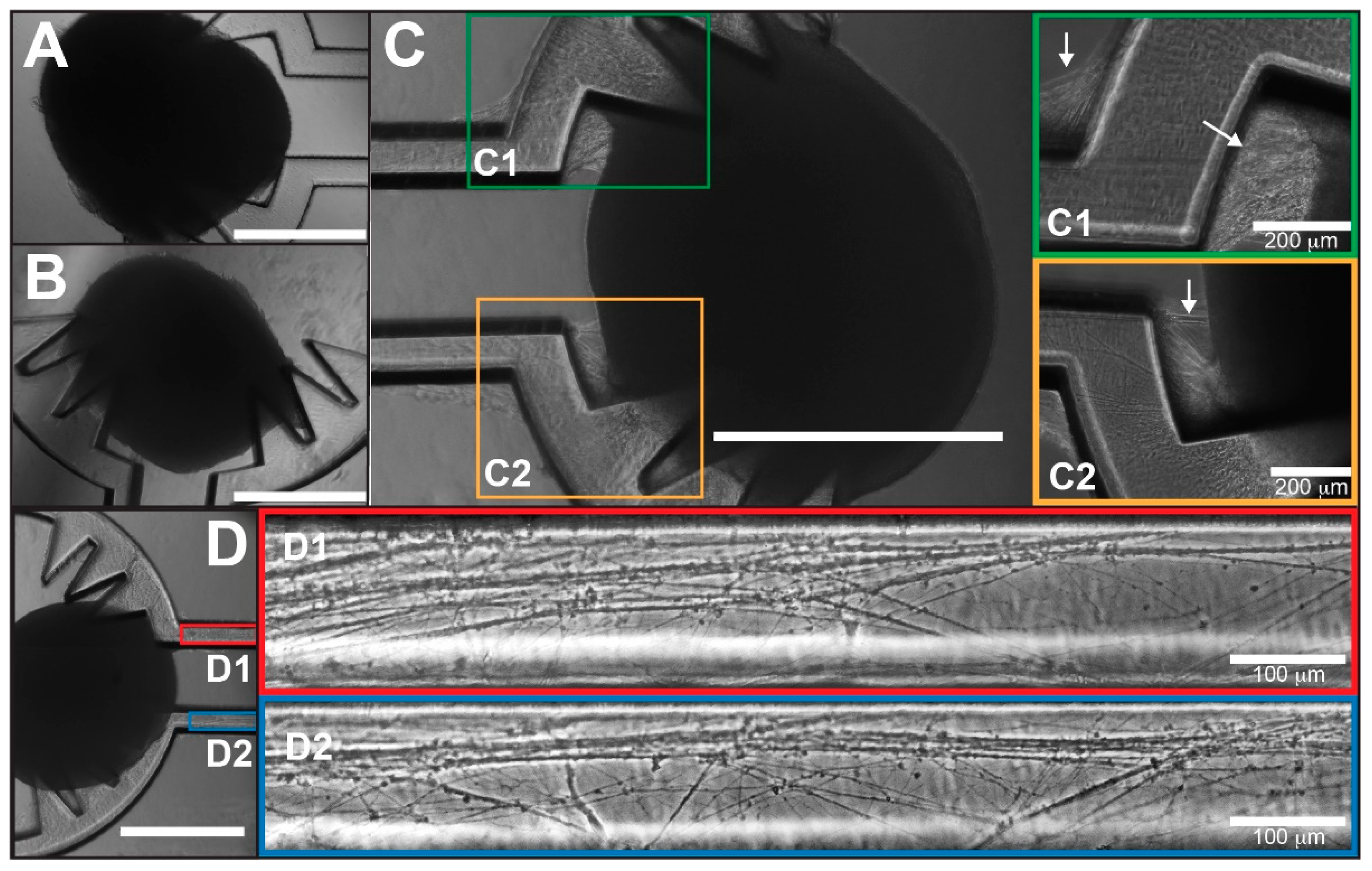 Micromachines 12 01574 g003