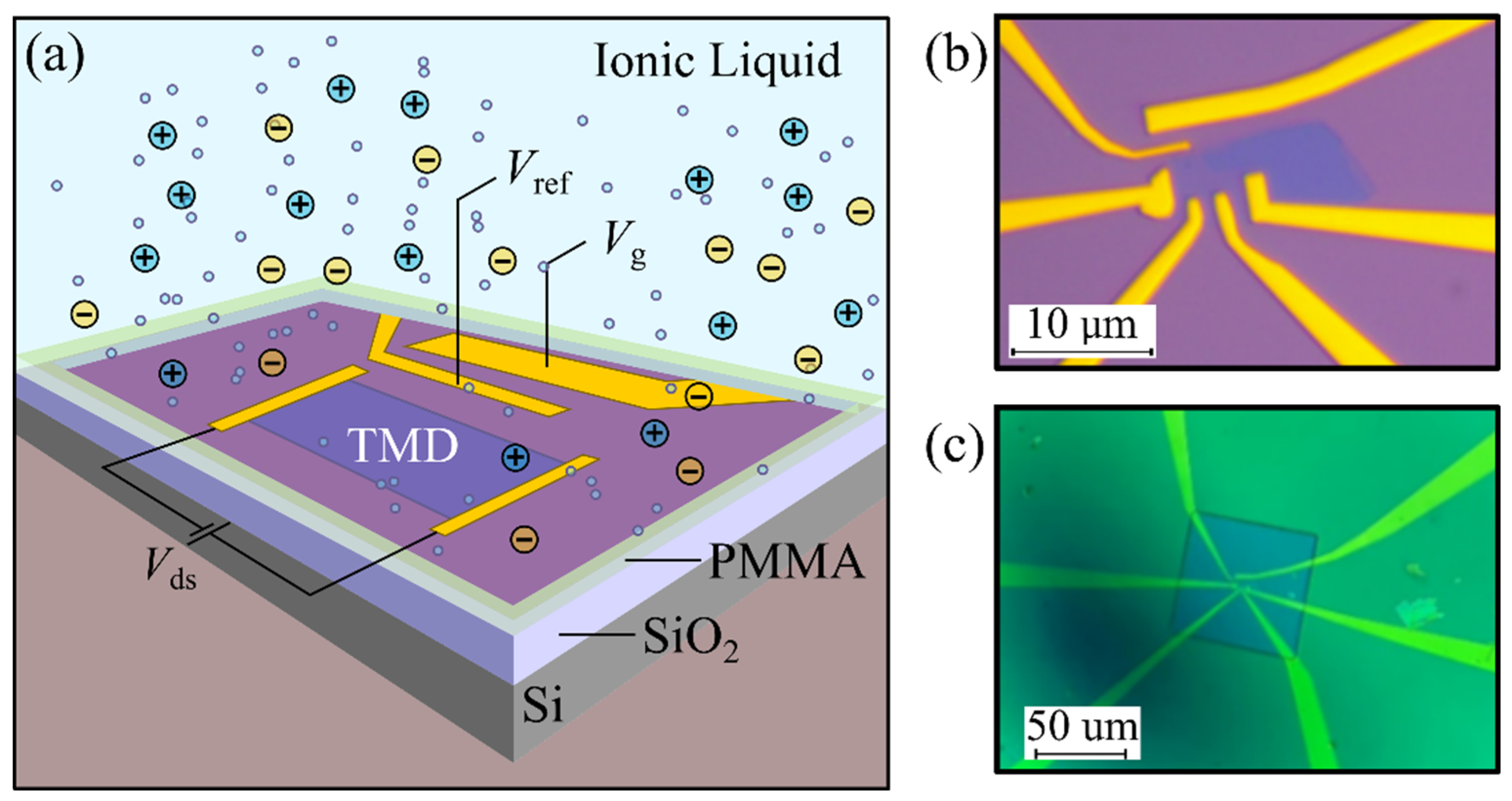 Micromachines 12 01576 g001