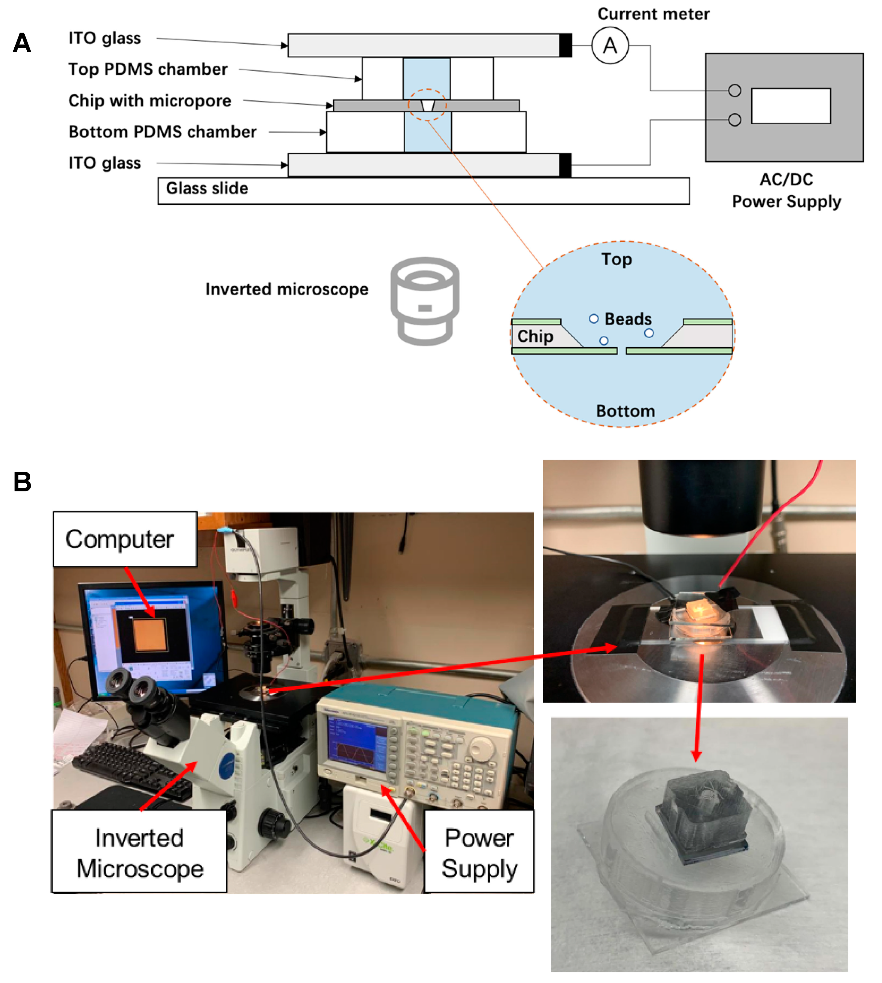 Micromachines 12 01578 g002