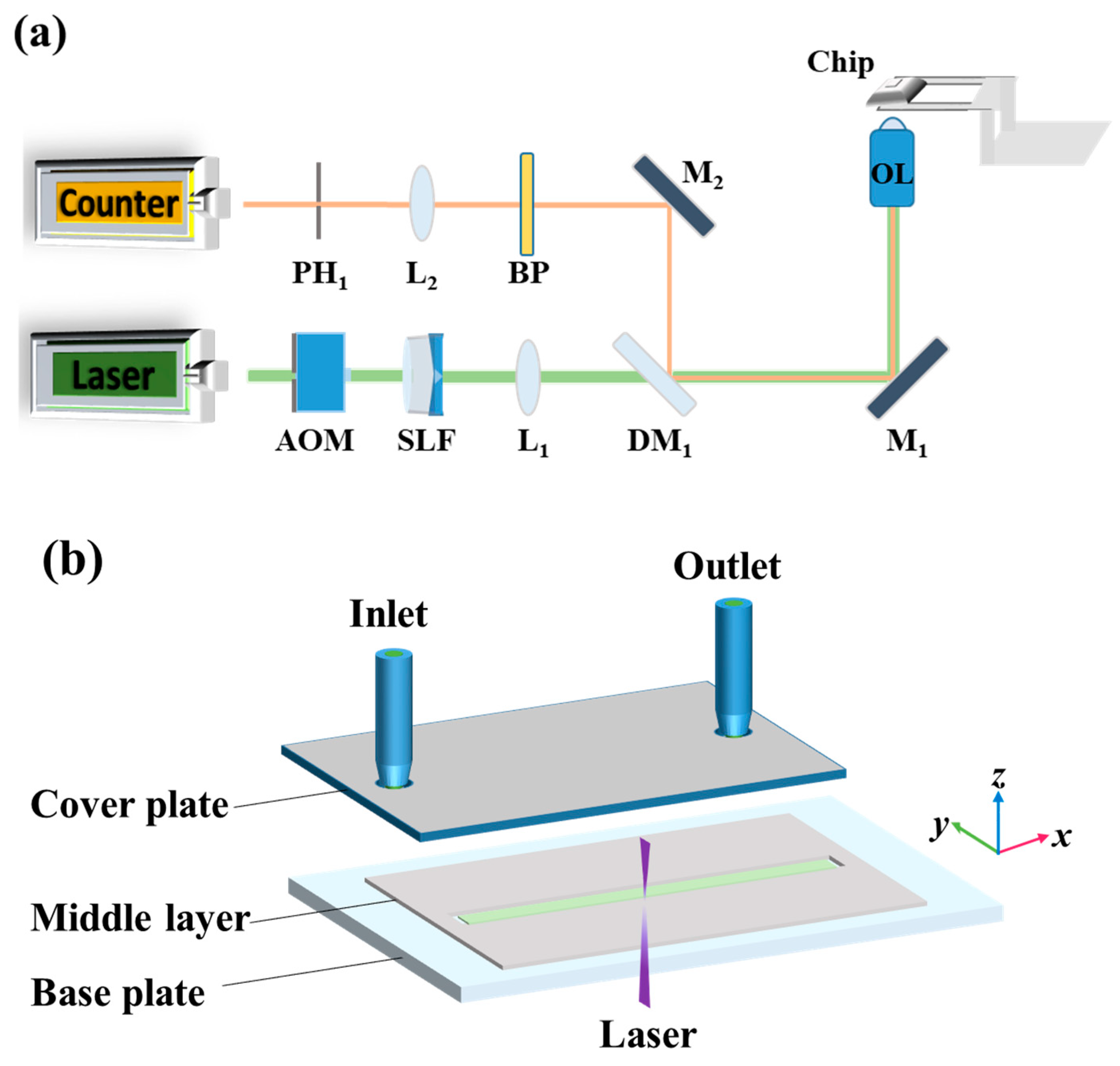 Micromachines 12 01592 g001