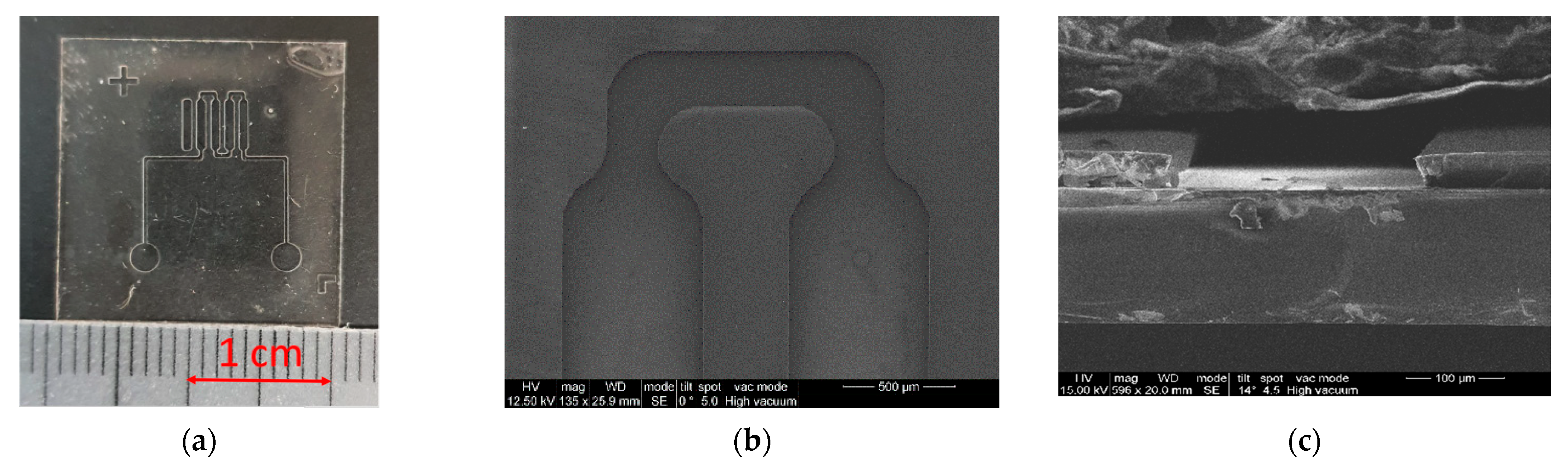 Micromachines 13 00020 g006 550