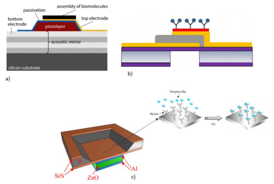 Acoustic Biosensors and Microfluidic Devices in the
