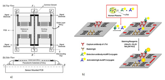 ゆん The interwoven porous CoCHH@PEDOT nanowire network structure