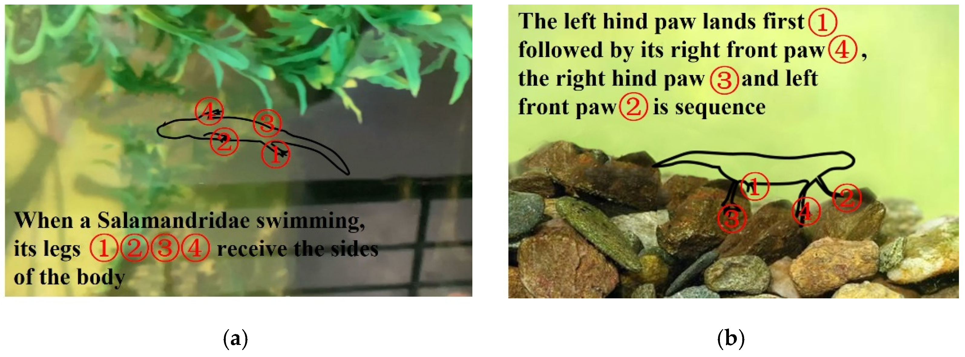 Micromachines 13 00025 g005 550