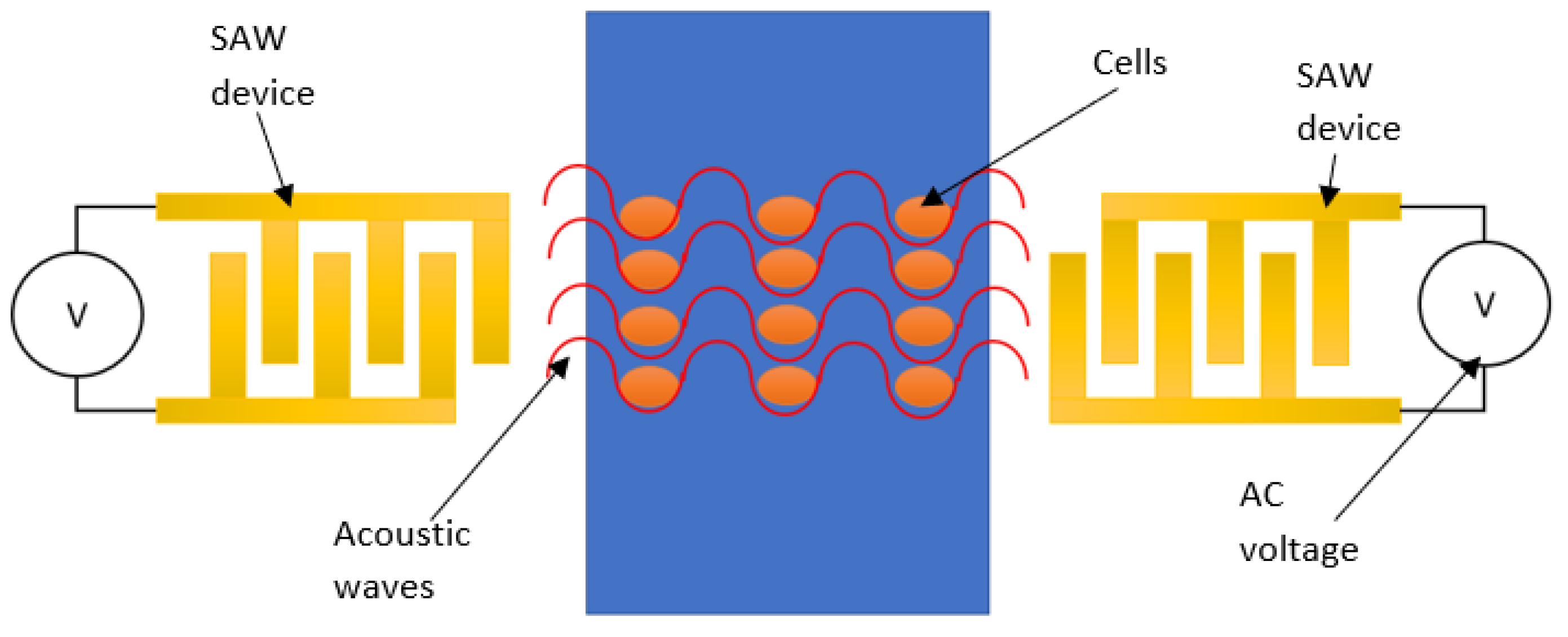 Micromachines 13 00030 g003 550