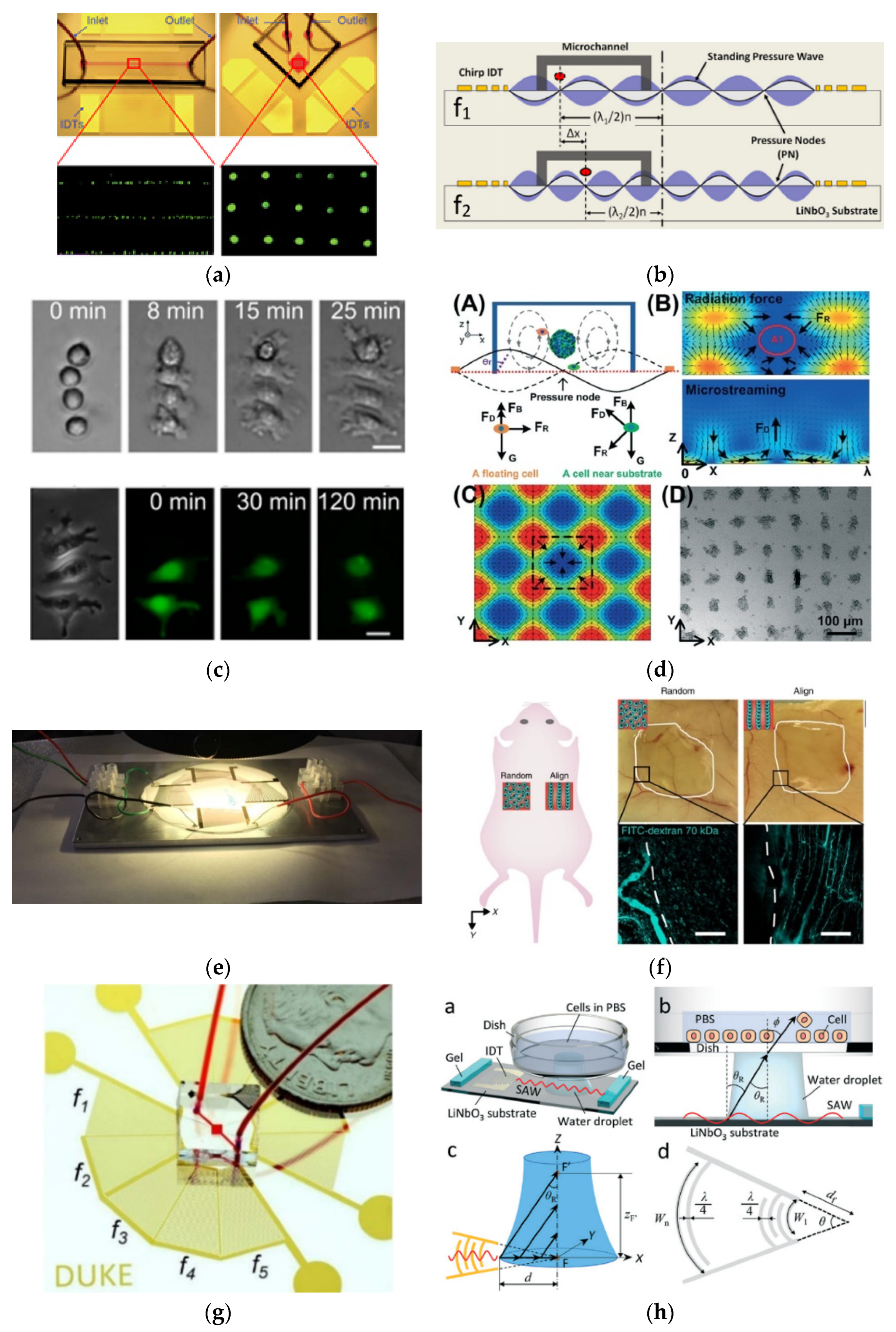 Micromachines 13 00030 g004 550