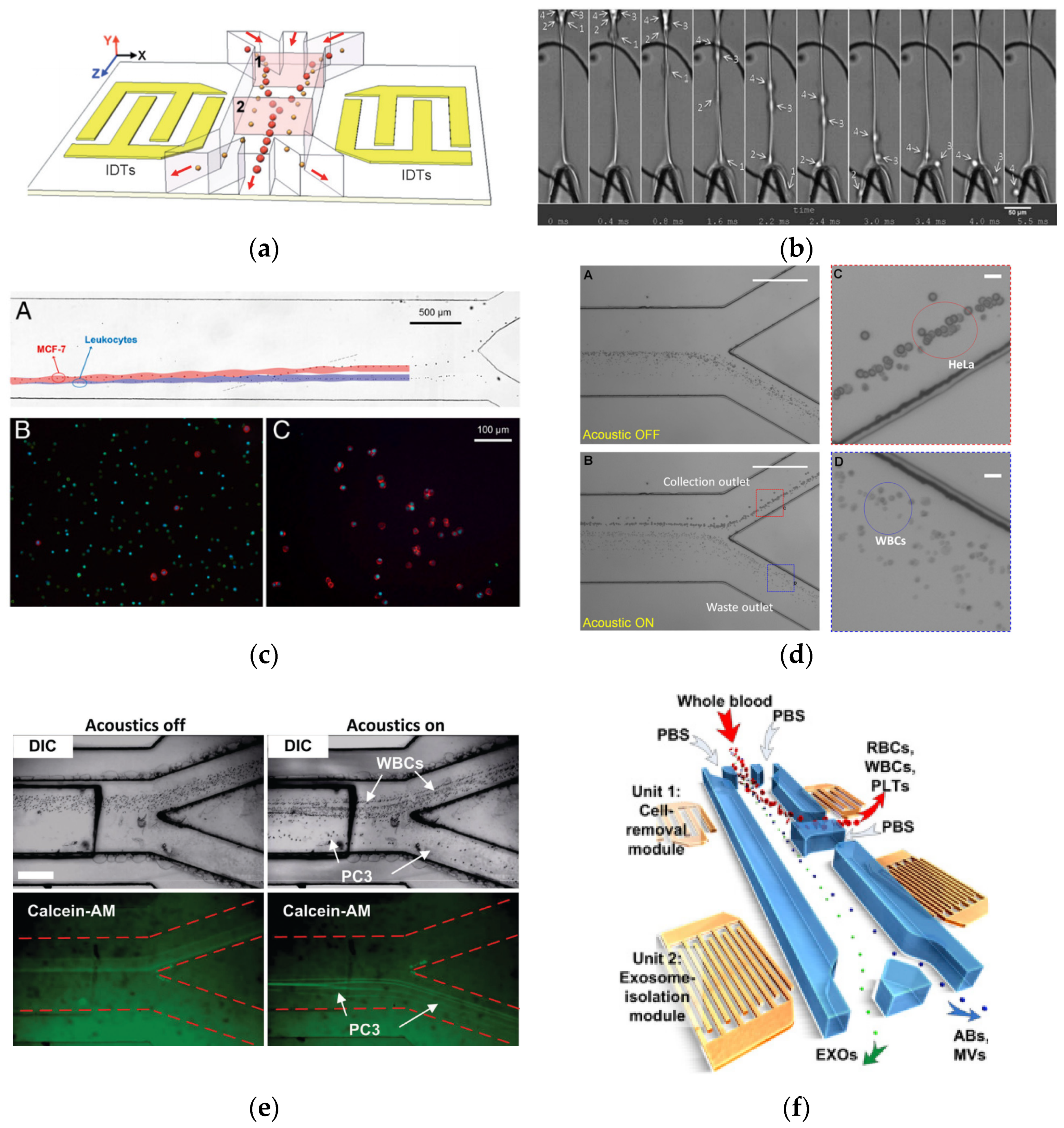 Micromachines 13 00030 g006 550