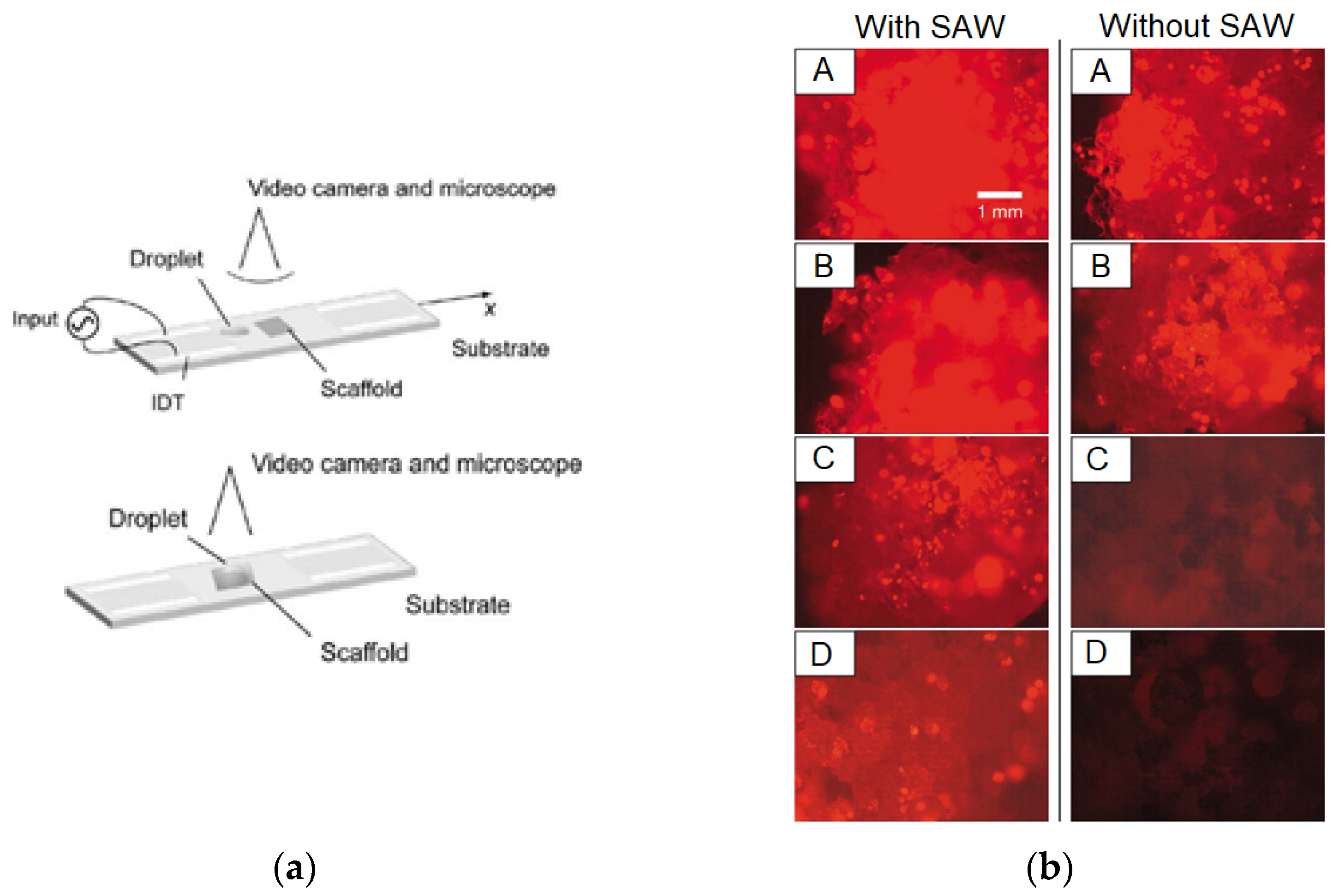 Micromachines 13 00030 g008a 550