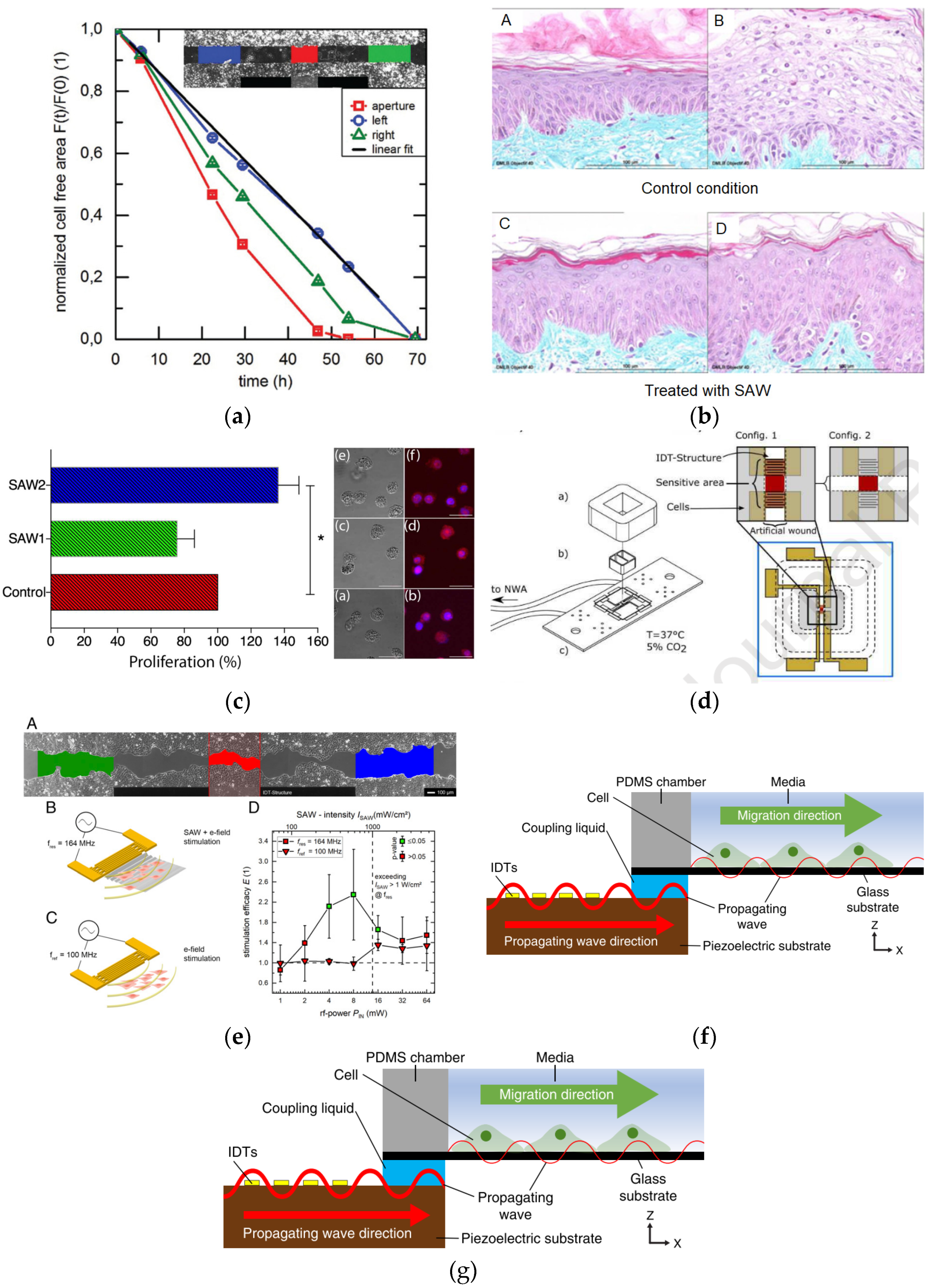 Micromachines 13 00030 g009 550