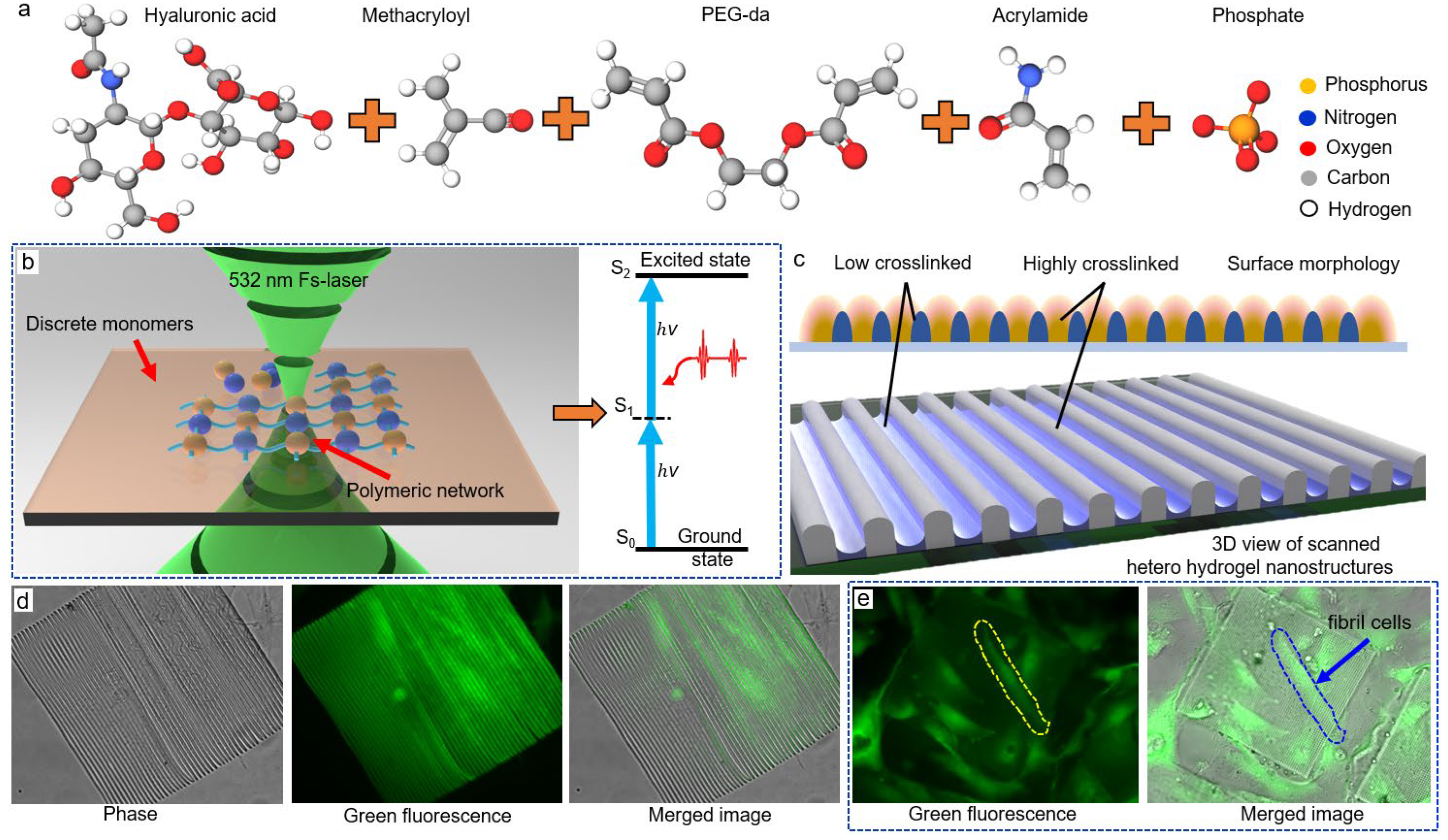 Micromachines 13 00032 g001 550