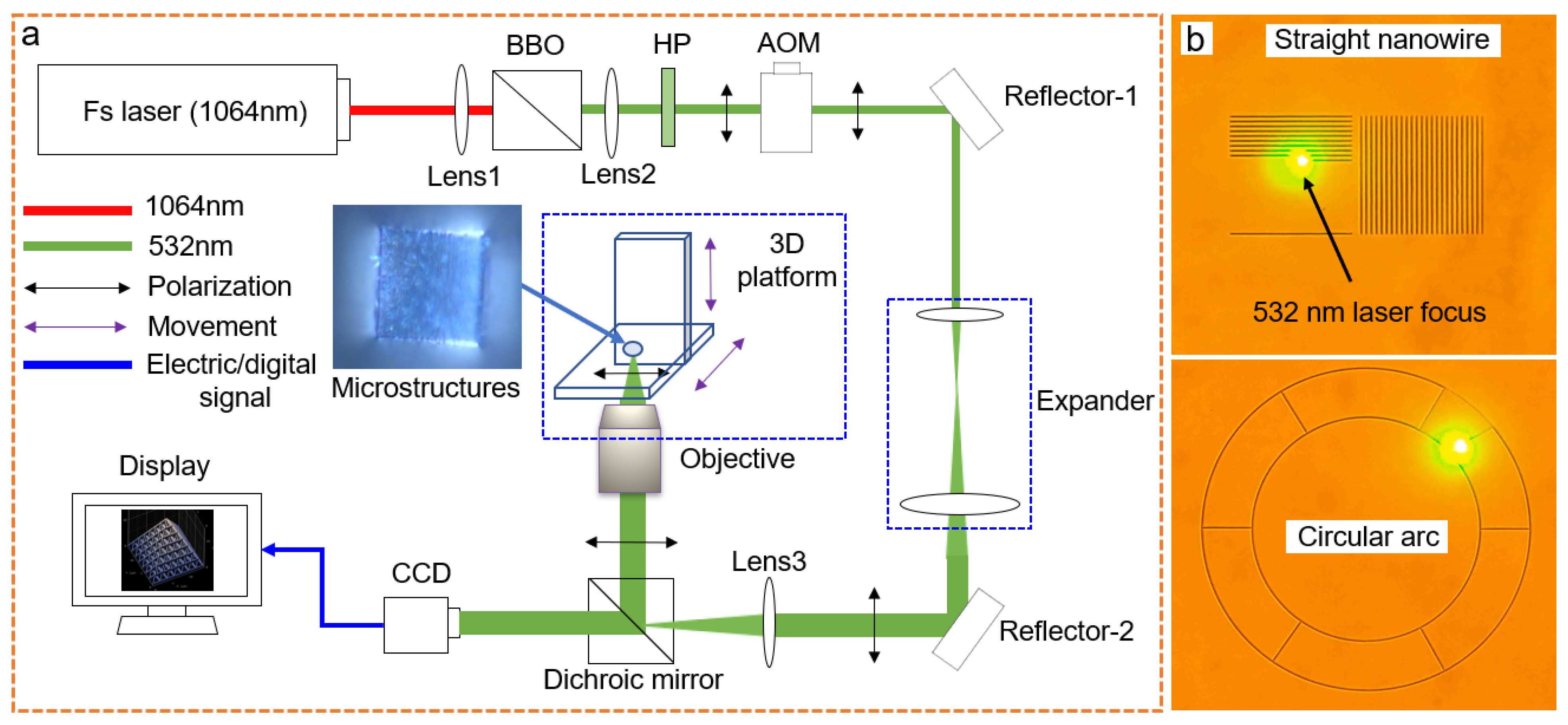 Micromachines 13 00032 g002 550