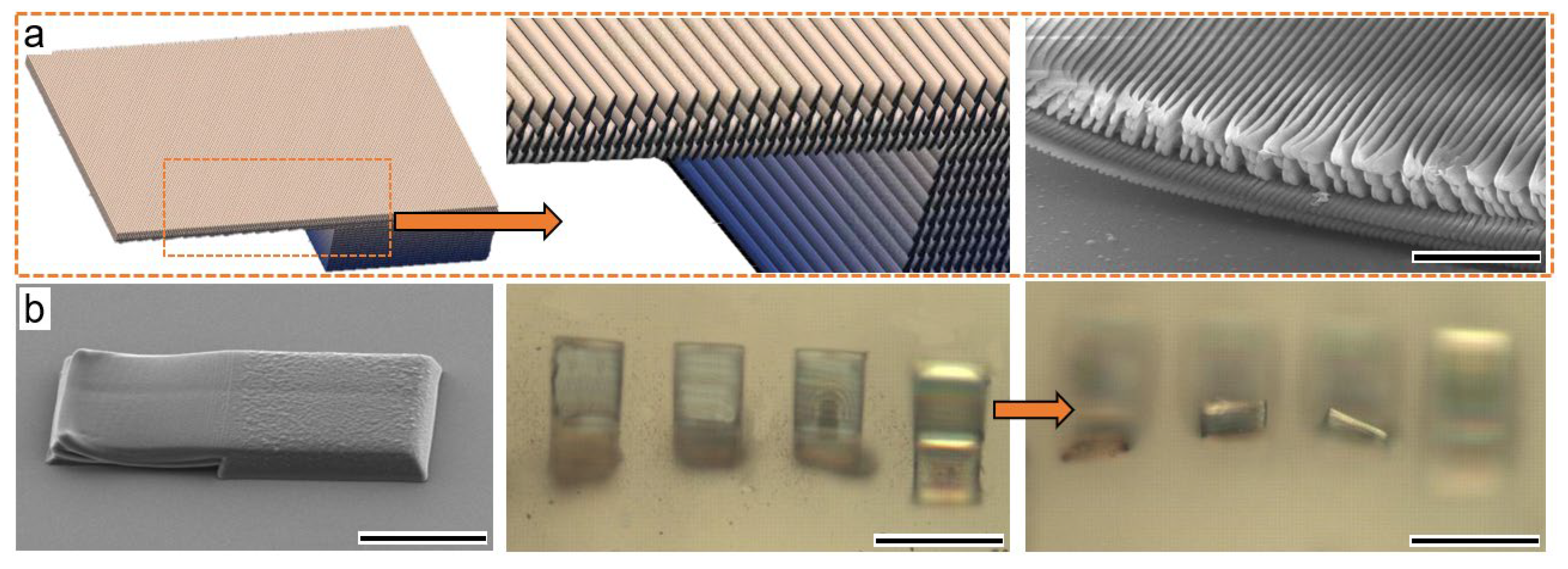 Micromachines 13 00032 g005 550