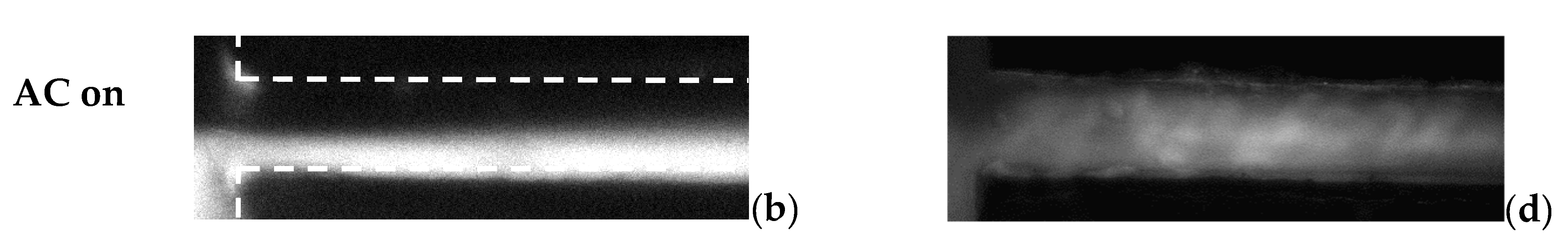 Micromachines 13 00034 g003b 550