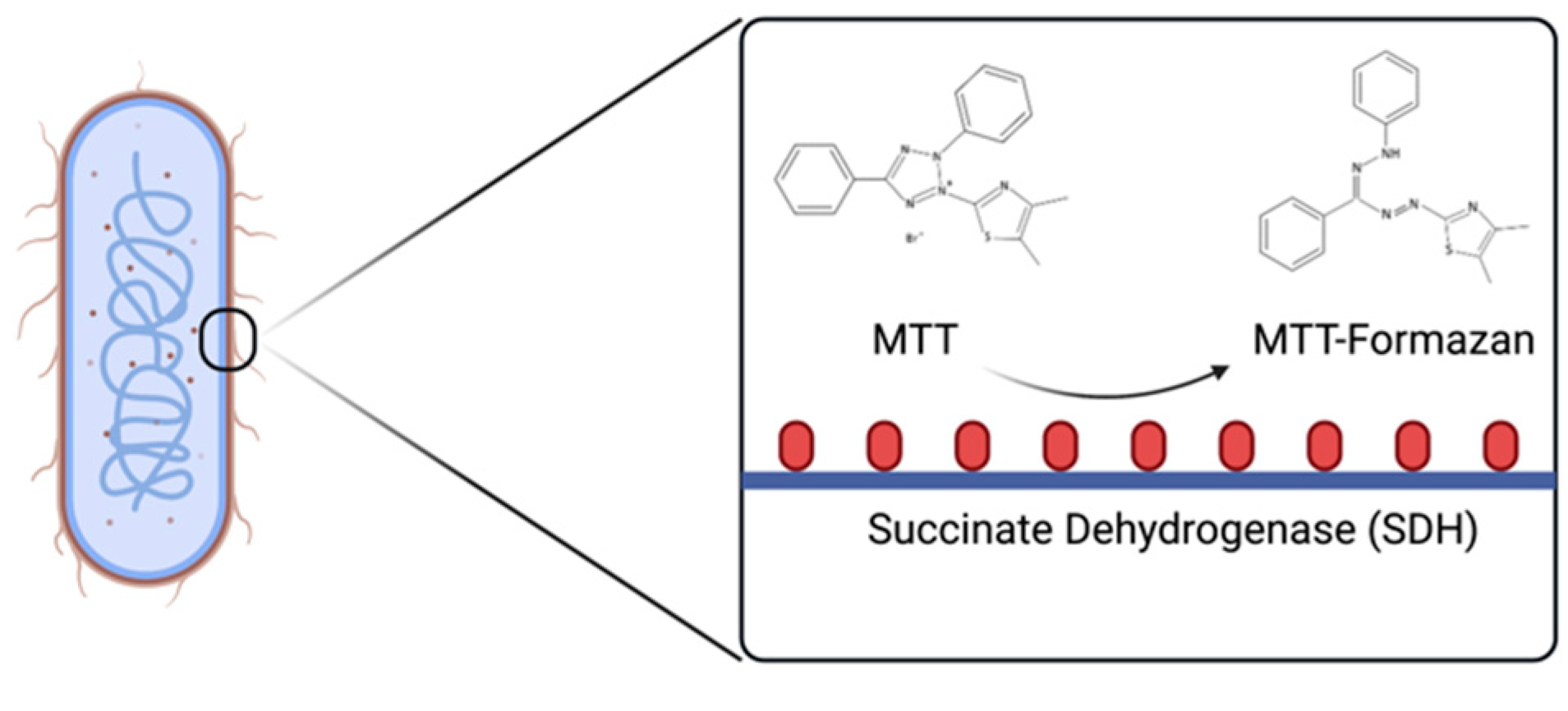 Micromachines 13 00044 g001
