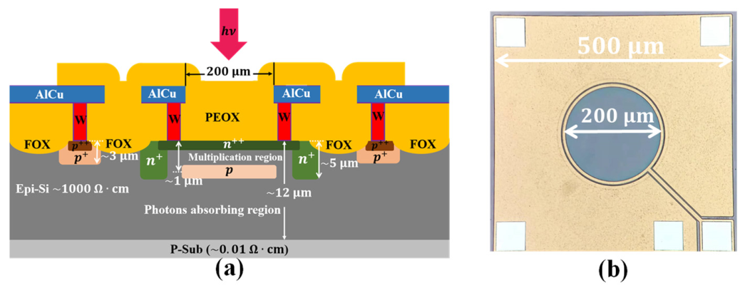 Micromachines 13 00047 g001 550