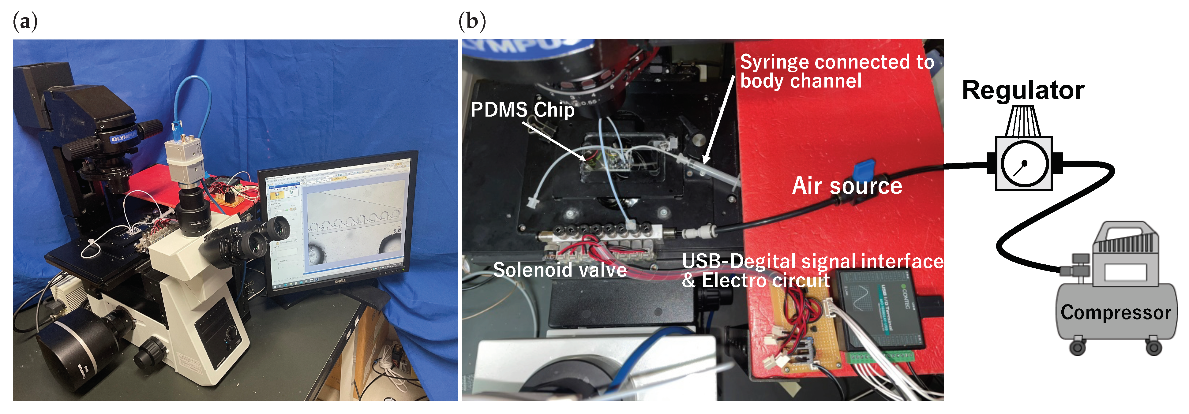 Micromachines 13 00068 g004