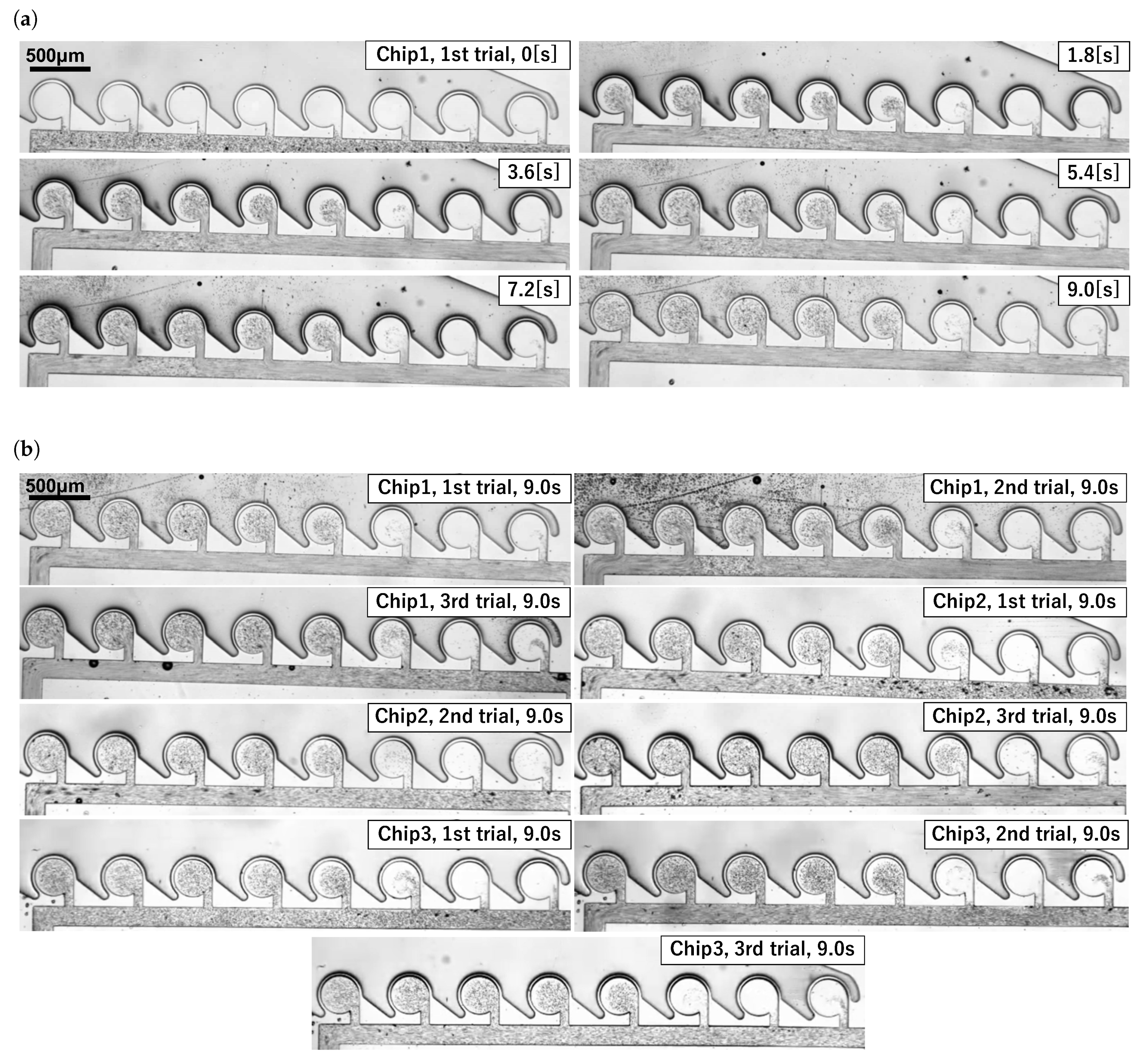 Micromachines 13 00068 g006