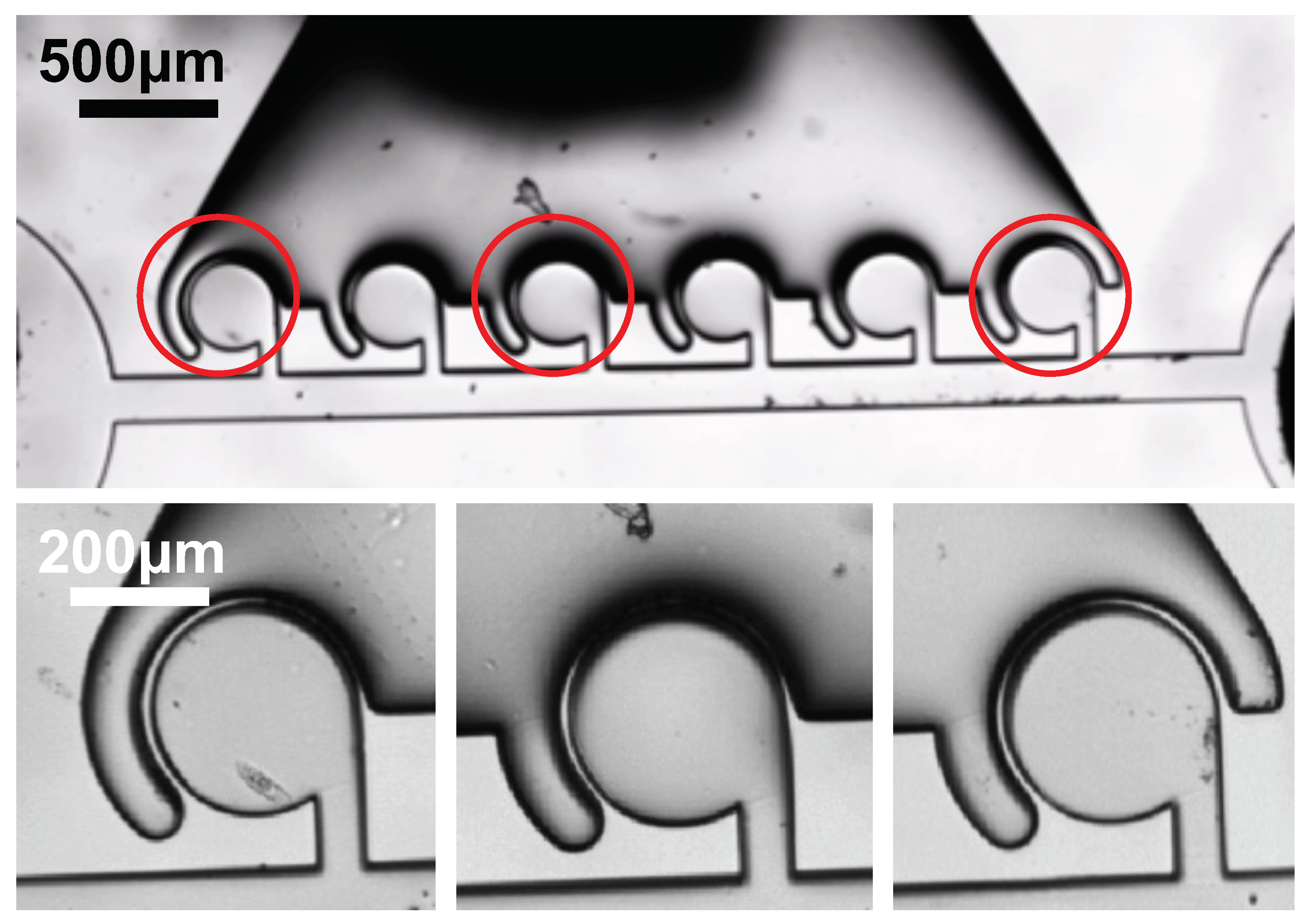 Micromachines 13 00068 g0a5