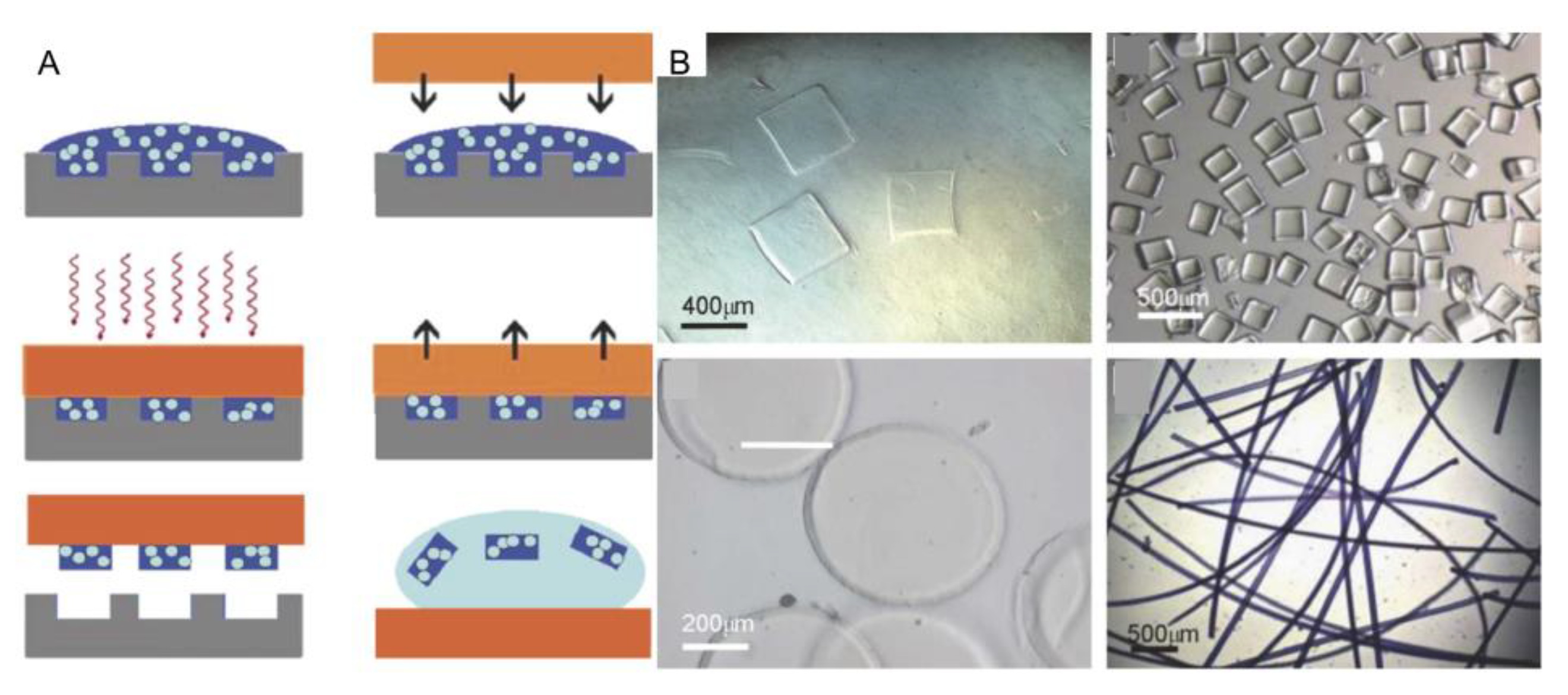 Micromachines 13 00075 g004