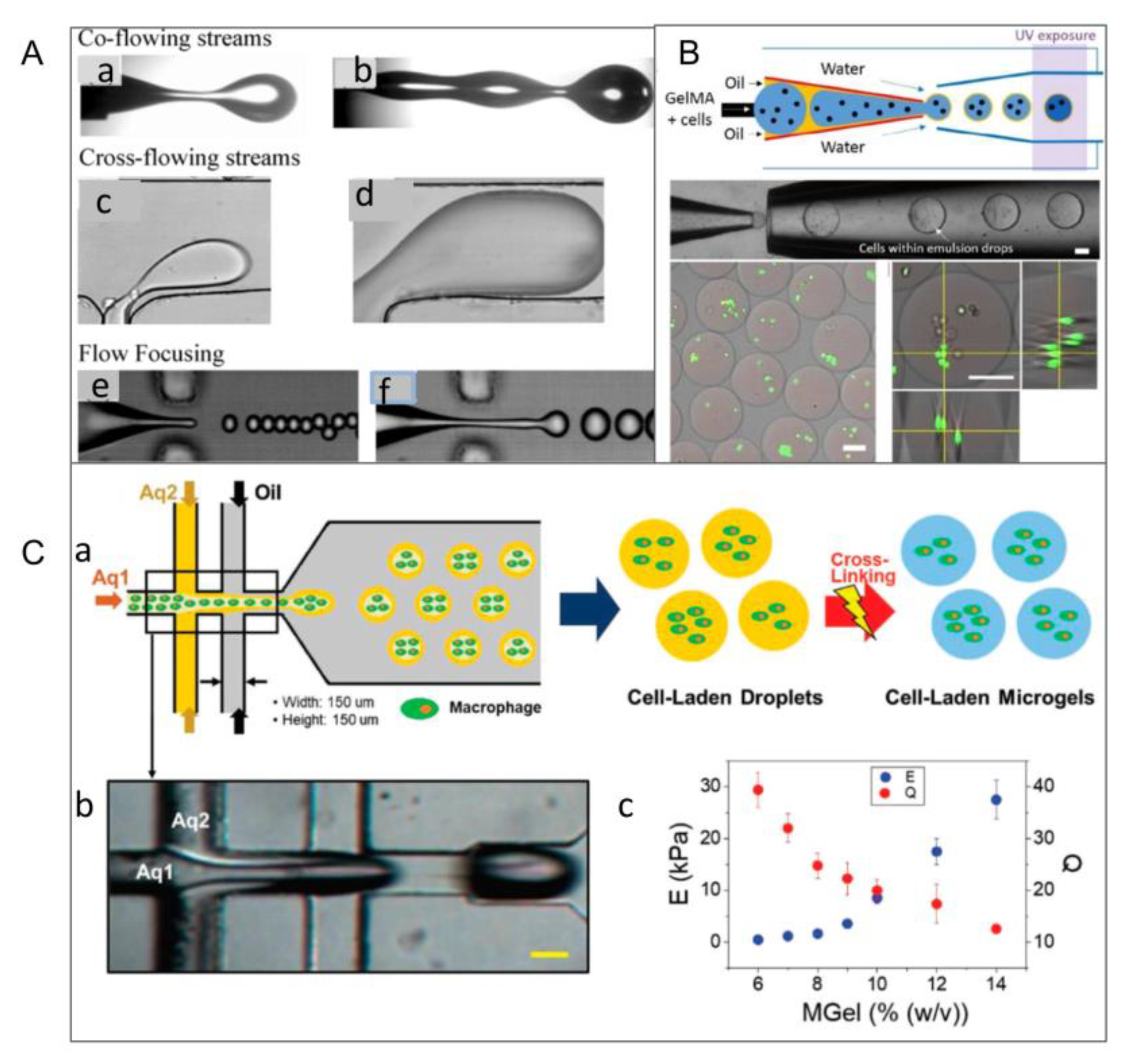 Micromachines 13 00075 g005