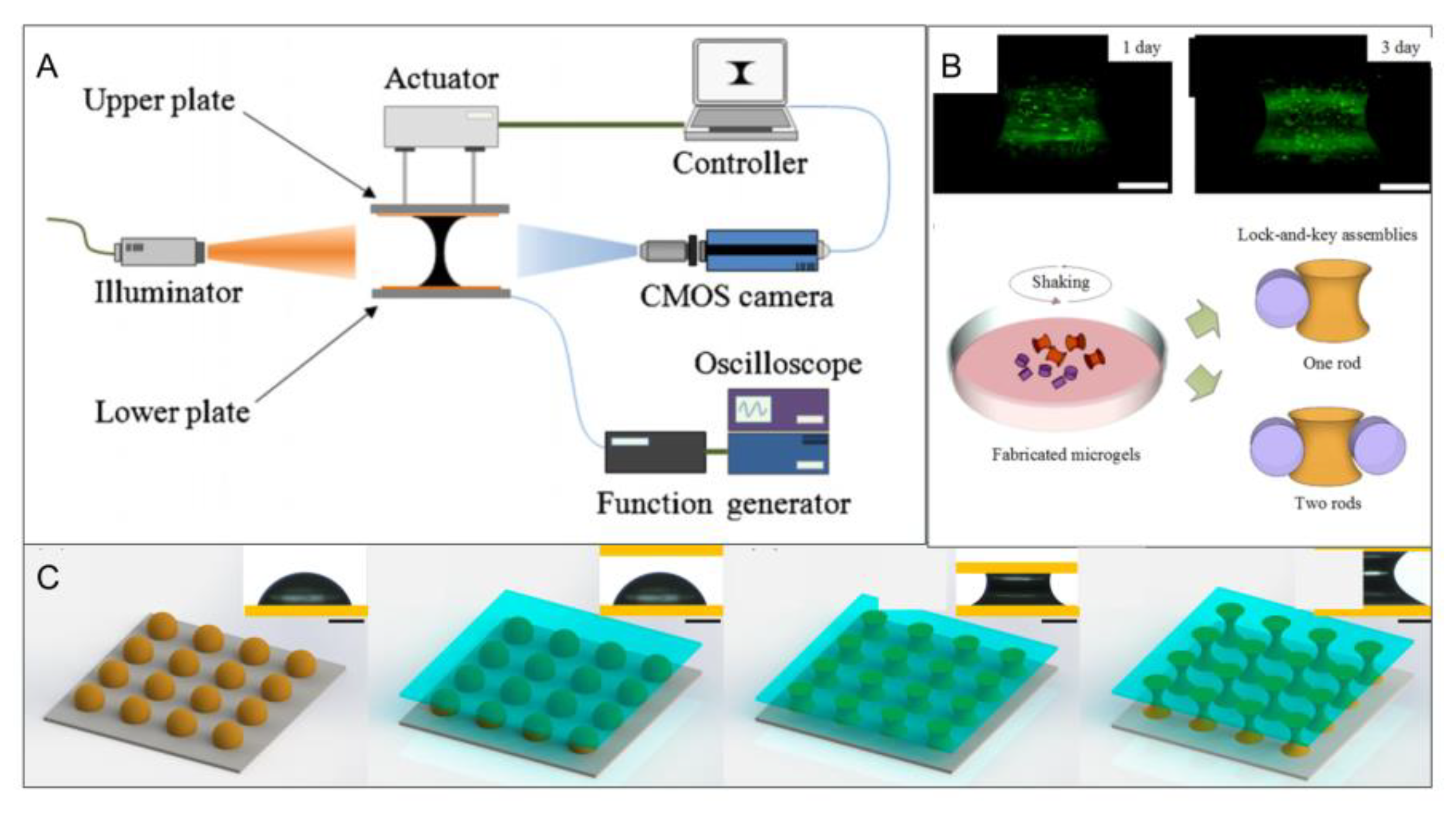 Micromachines 13 00075 g007