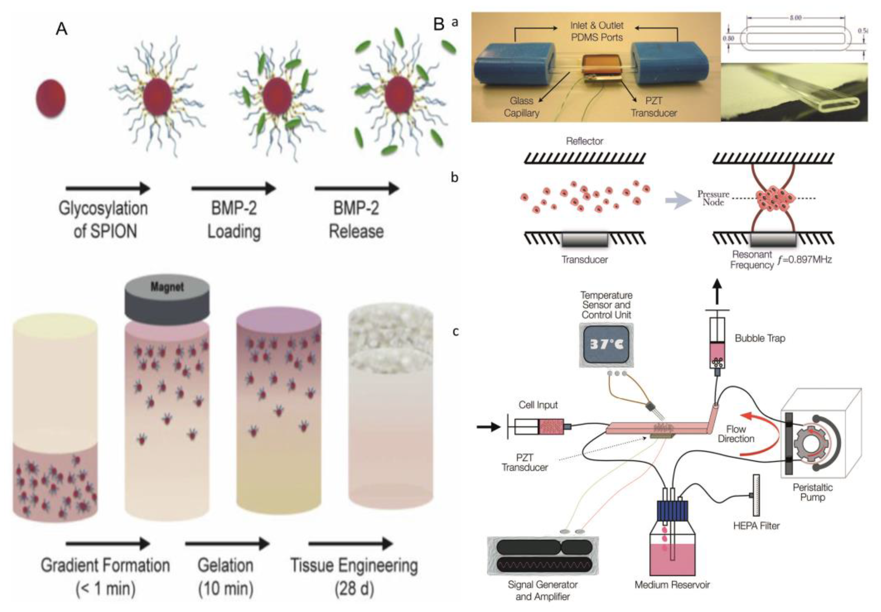 Micromachines 13 00075 g019