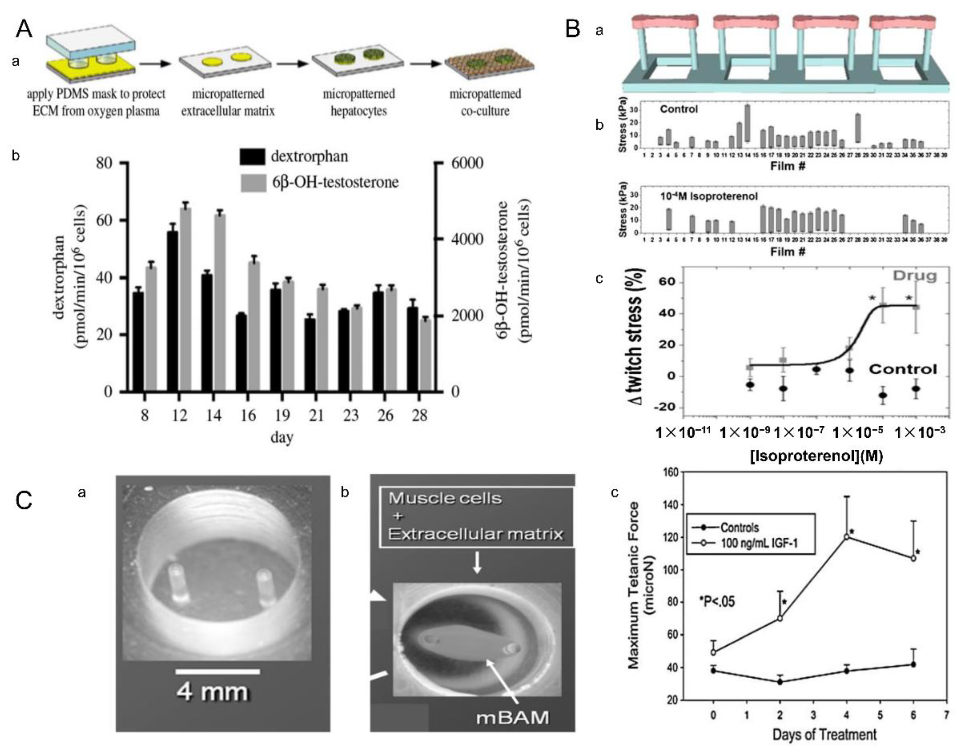 Micromachines 13 00075 g024