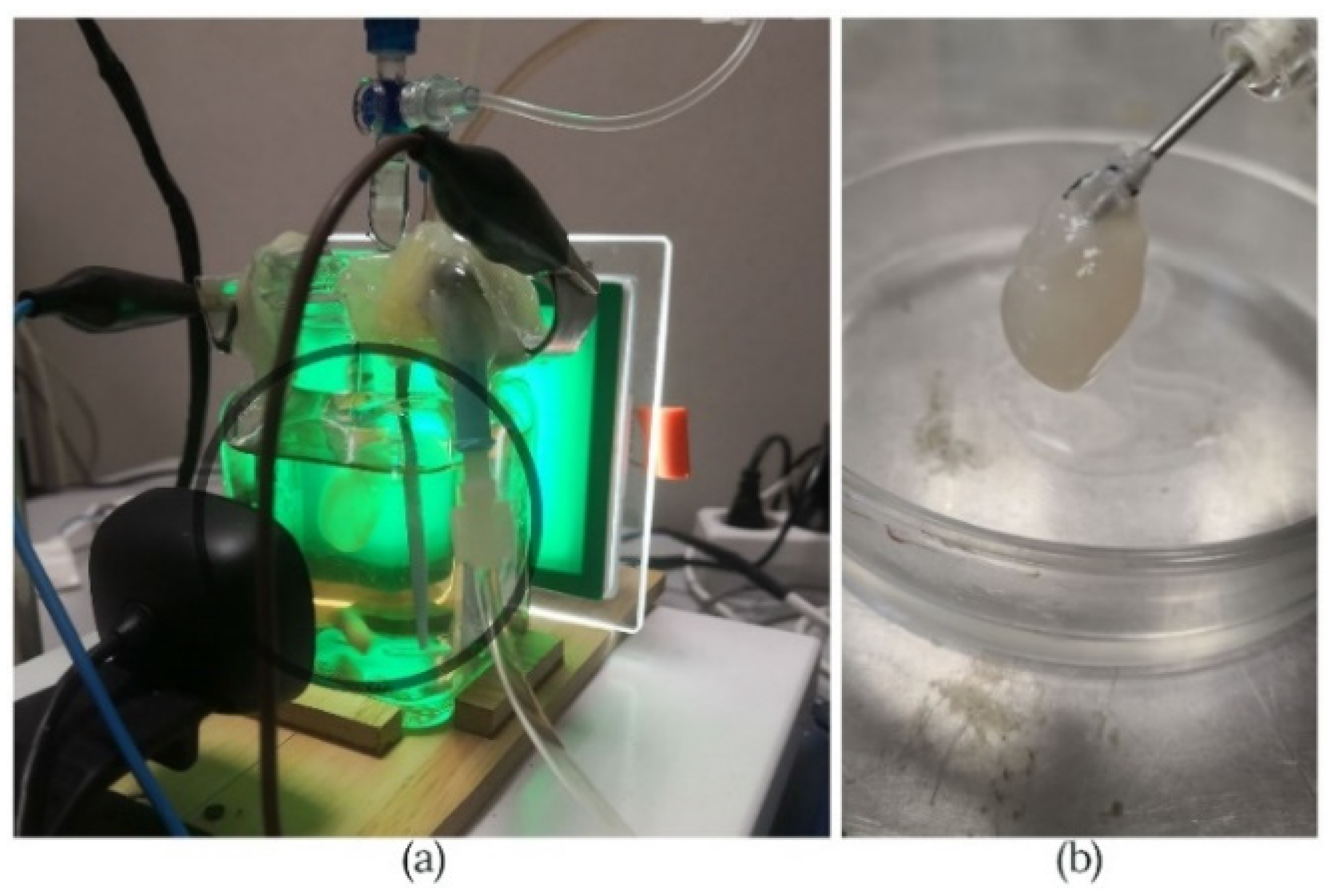 Micromachines 13 00079 g007