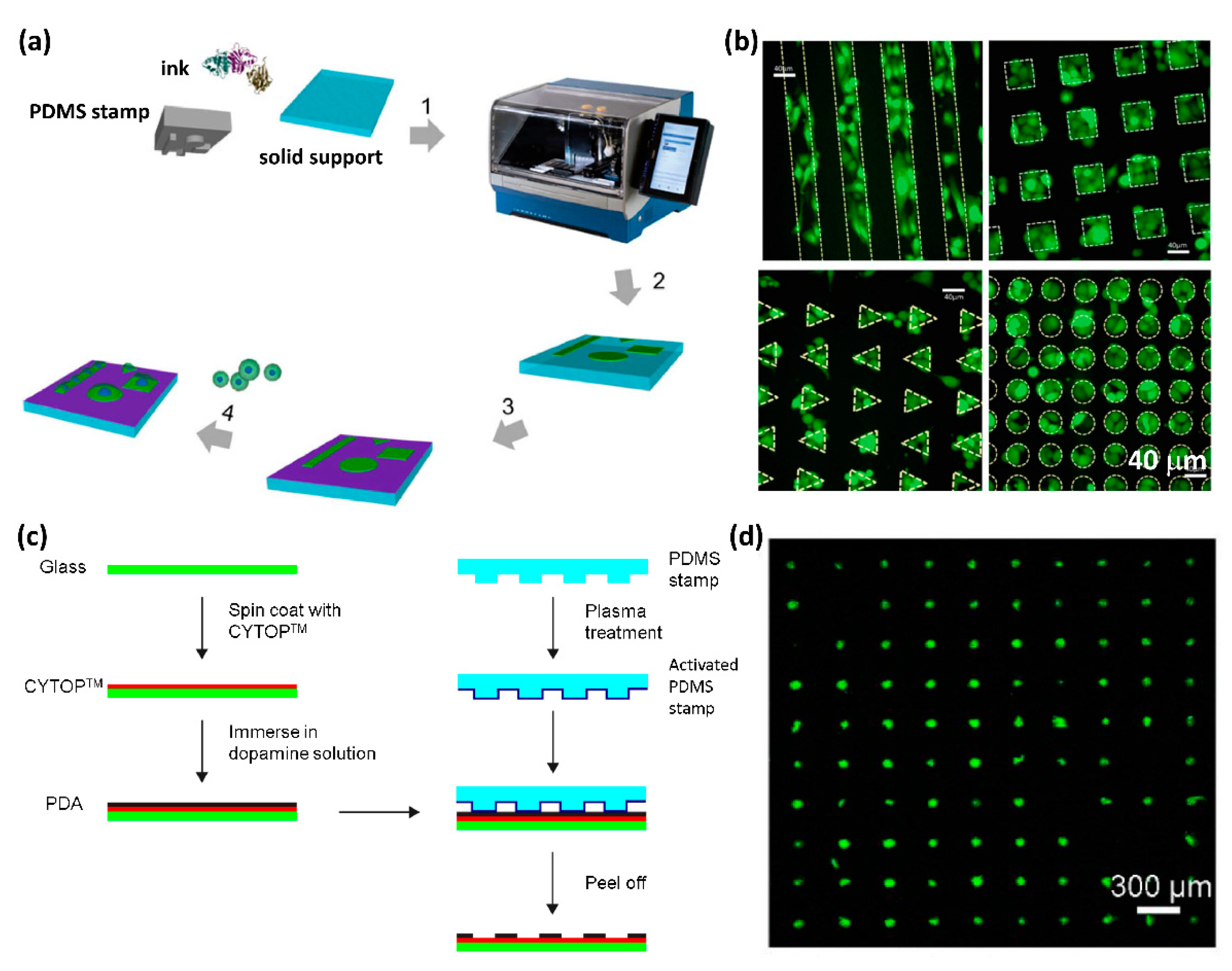 Micromachines 13 00080 g001 Micromachines 13 00080 g001