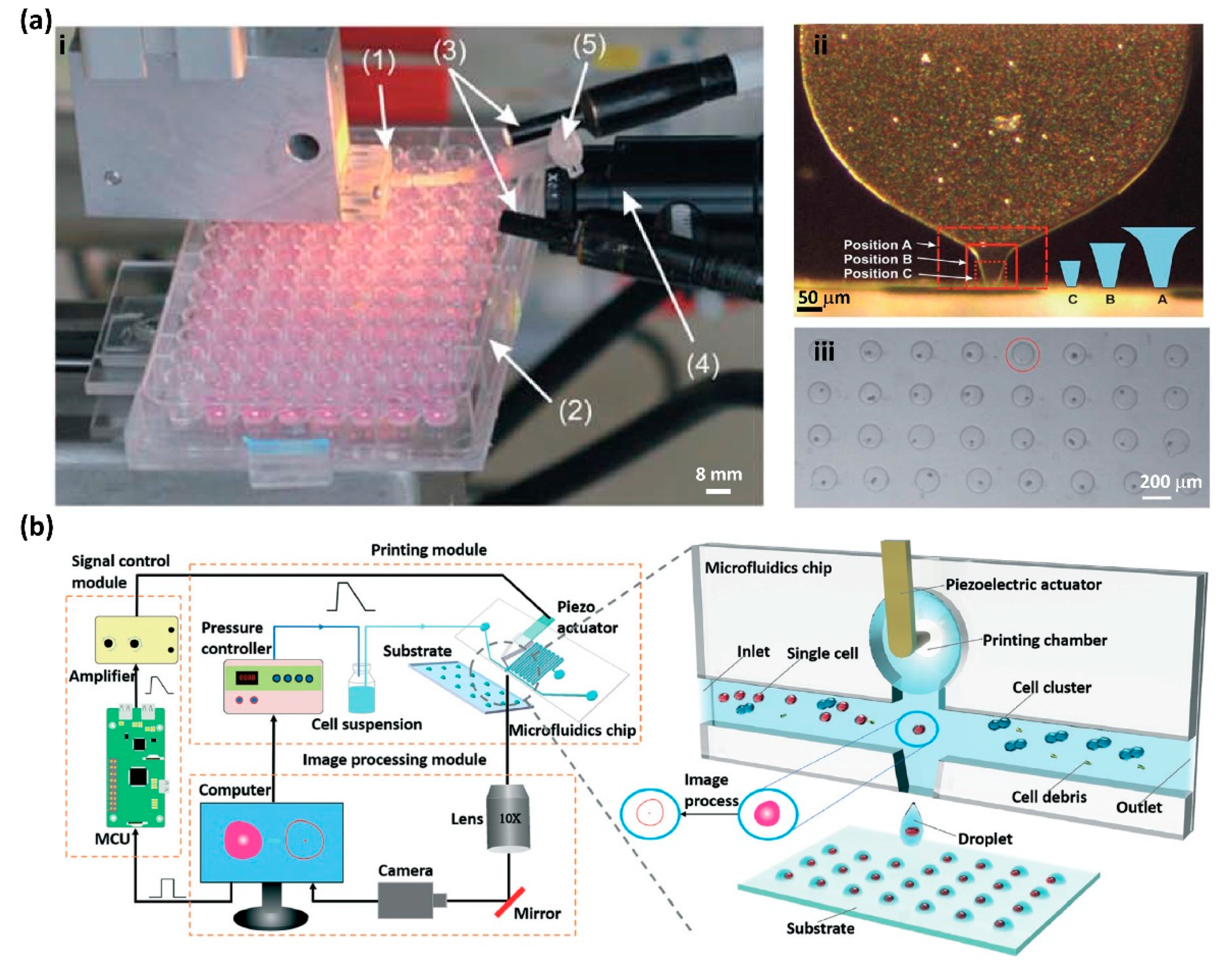 Micromachines 13 00080 g003 Micromachines 13 00080 g003
