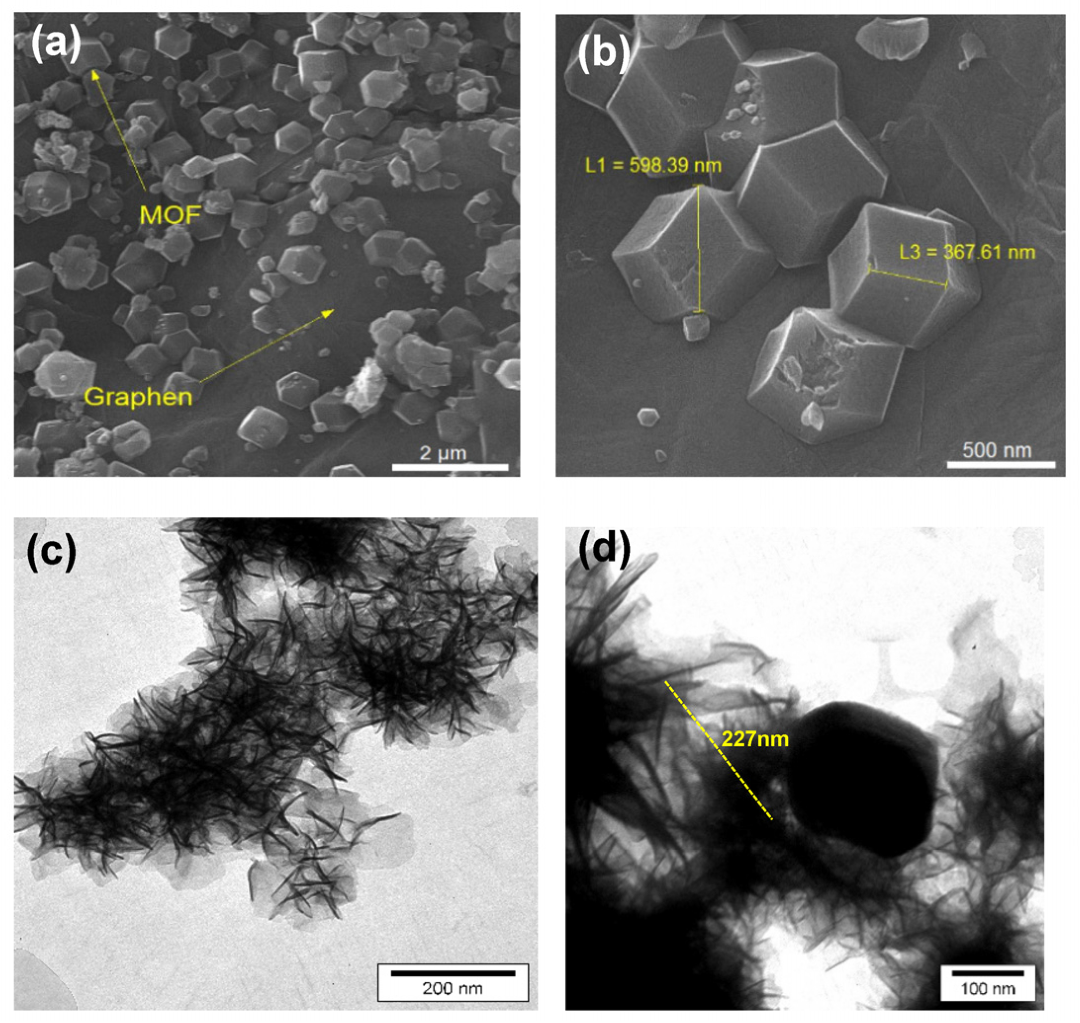 Micromachines 13 00088 g004 550
