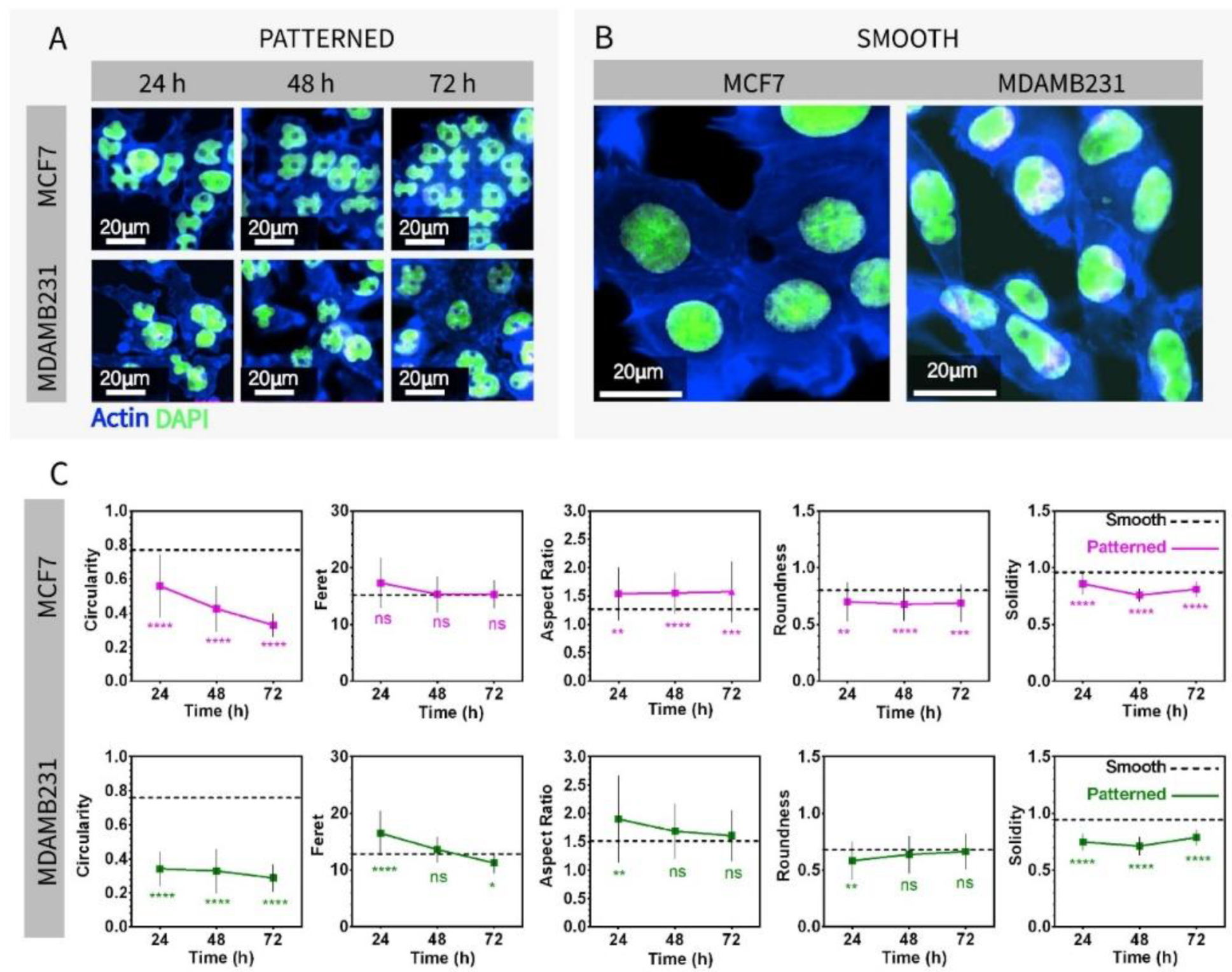 Micromachines 13 00093 g002