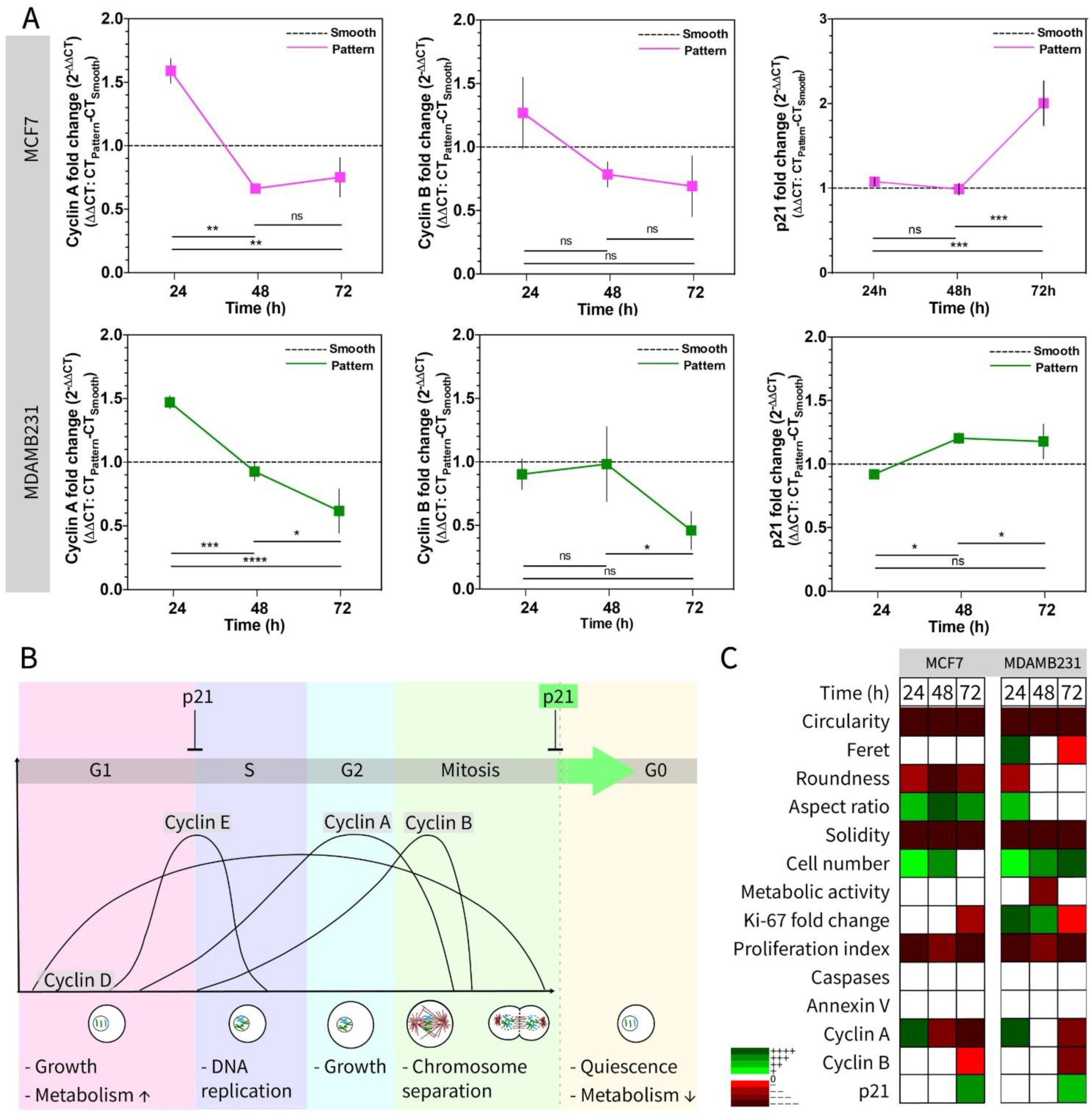 Micromachines 13 00093 g005